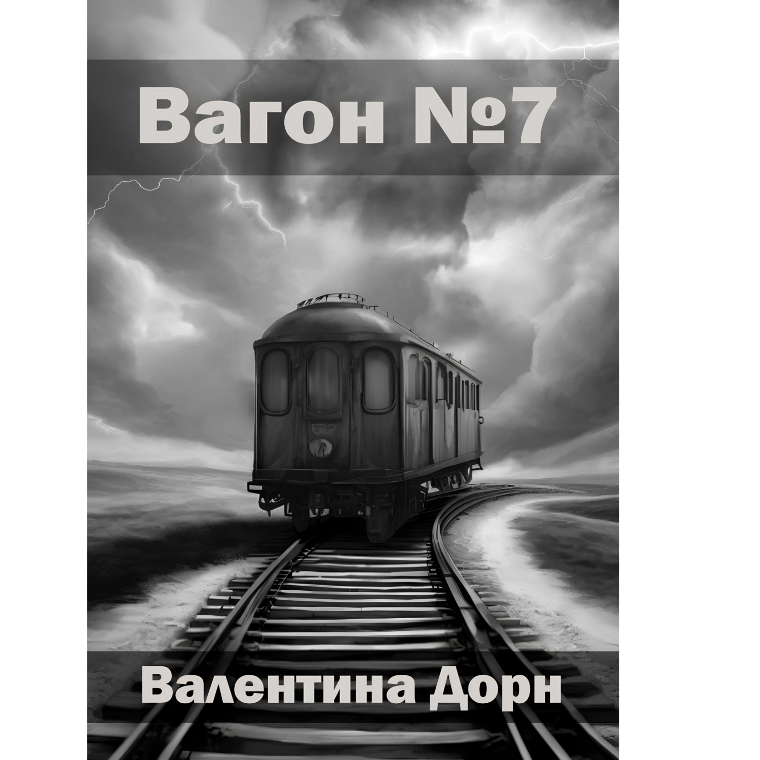 Обложка книги «Вагон номер семь»