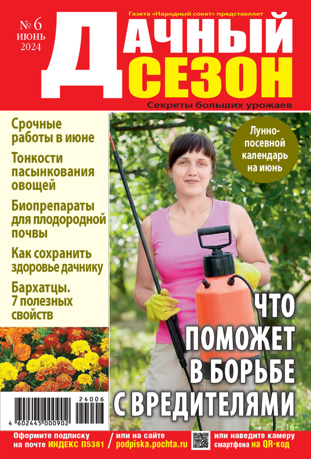 Обложка книги «Дачный сезон №06/2024»