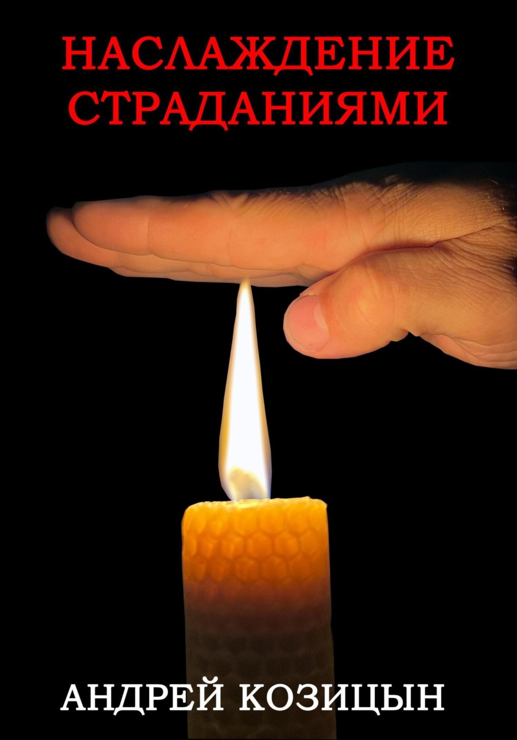 Обложка книги «Наслаждение страданиями»