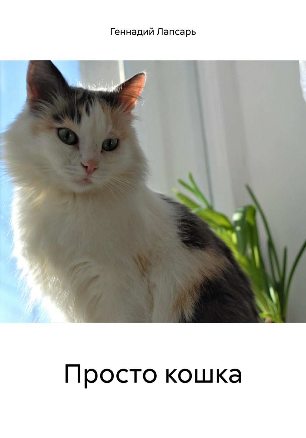 Обложка книги «Просто кошка»