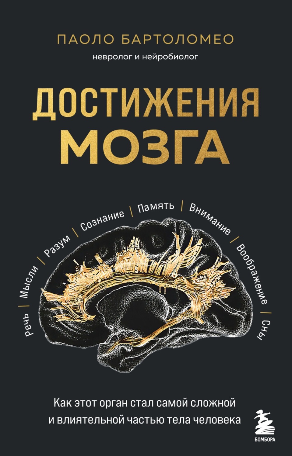 Обложка книги «Достижения мозга. Как этот орган стал самой сложной и влиятельной частью тела человека»