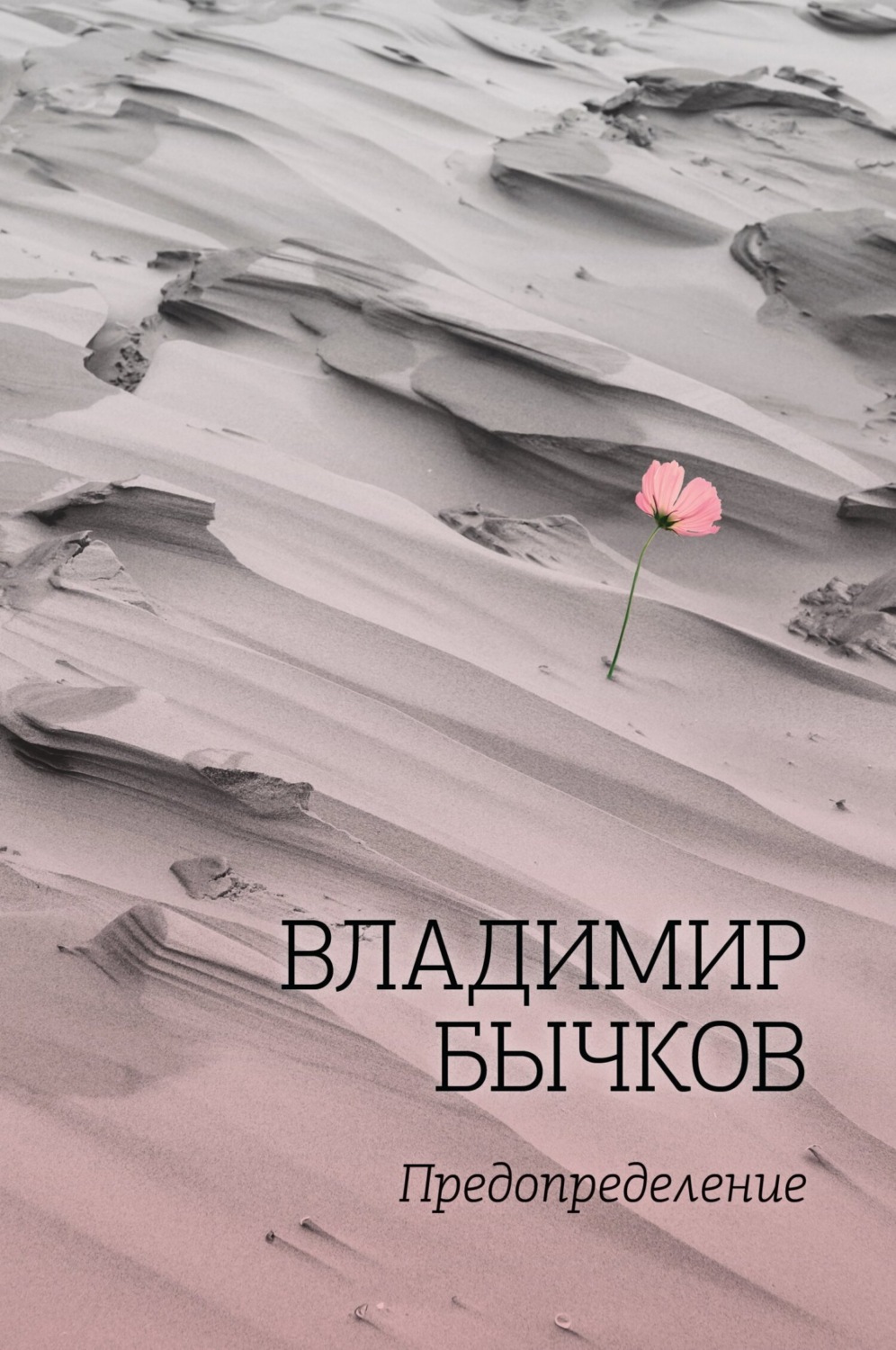 Обложка книги «Предопределение»