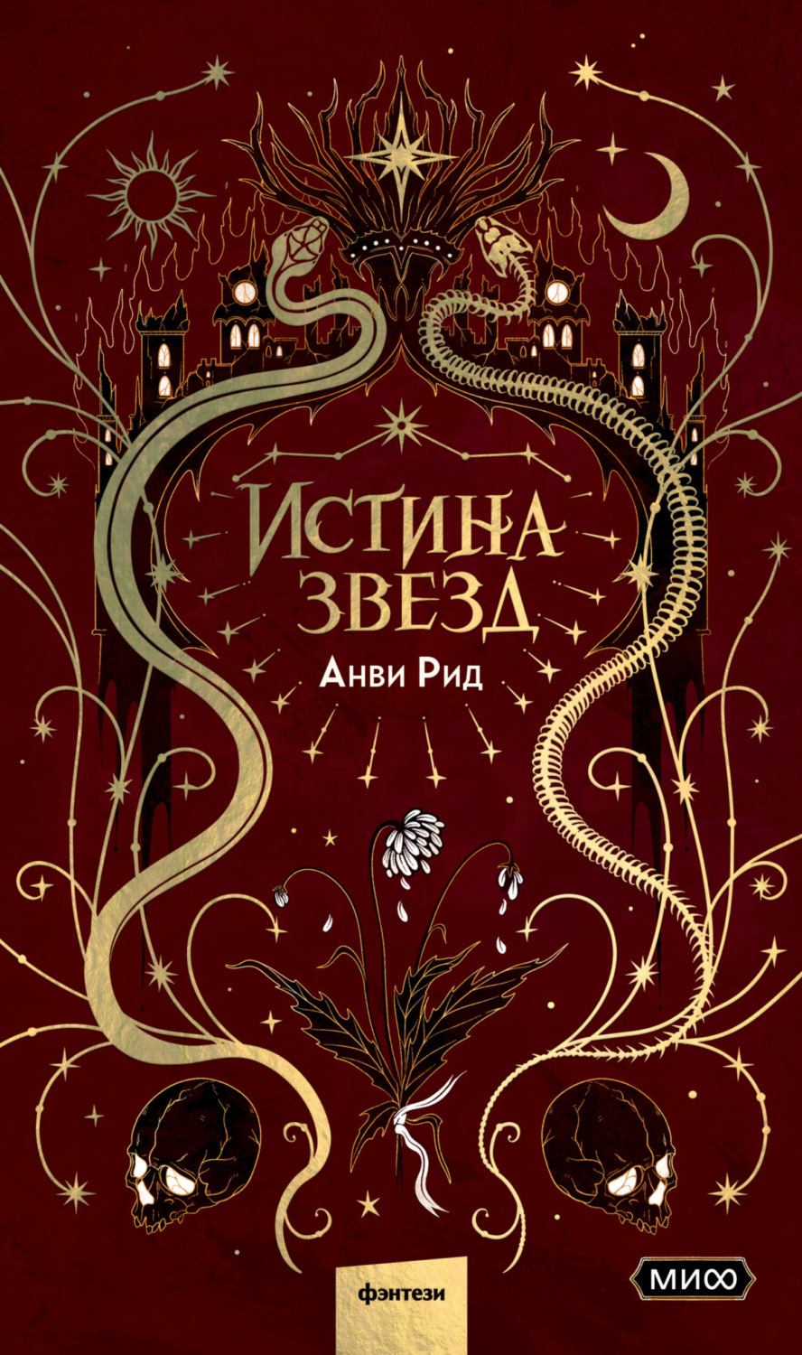 Обложка книги «Истина звезд»