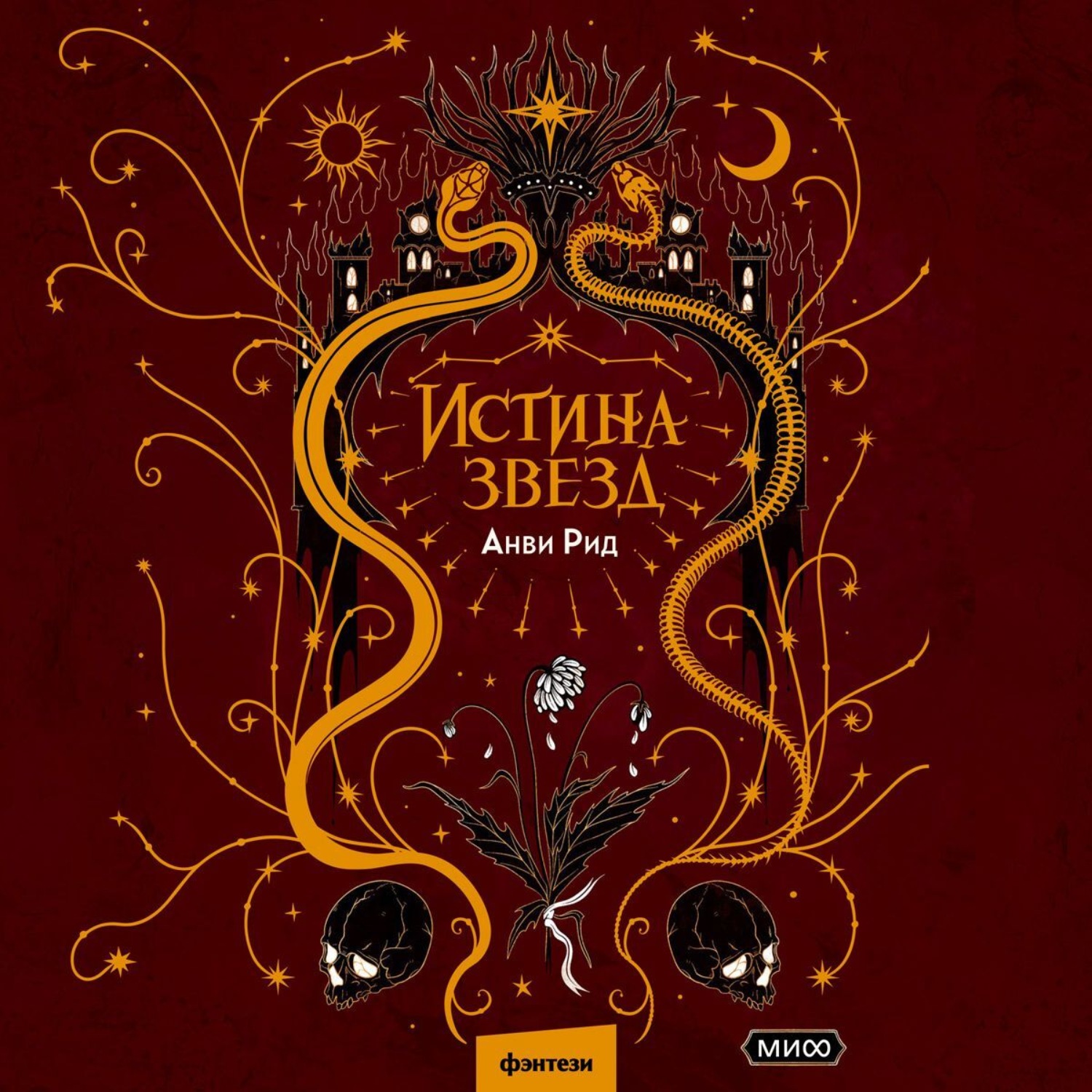 Обложка книги «Истина звезд»