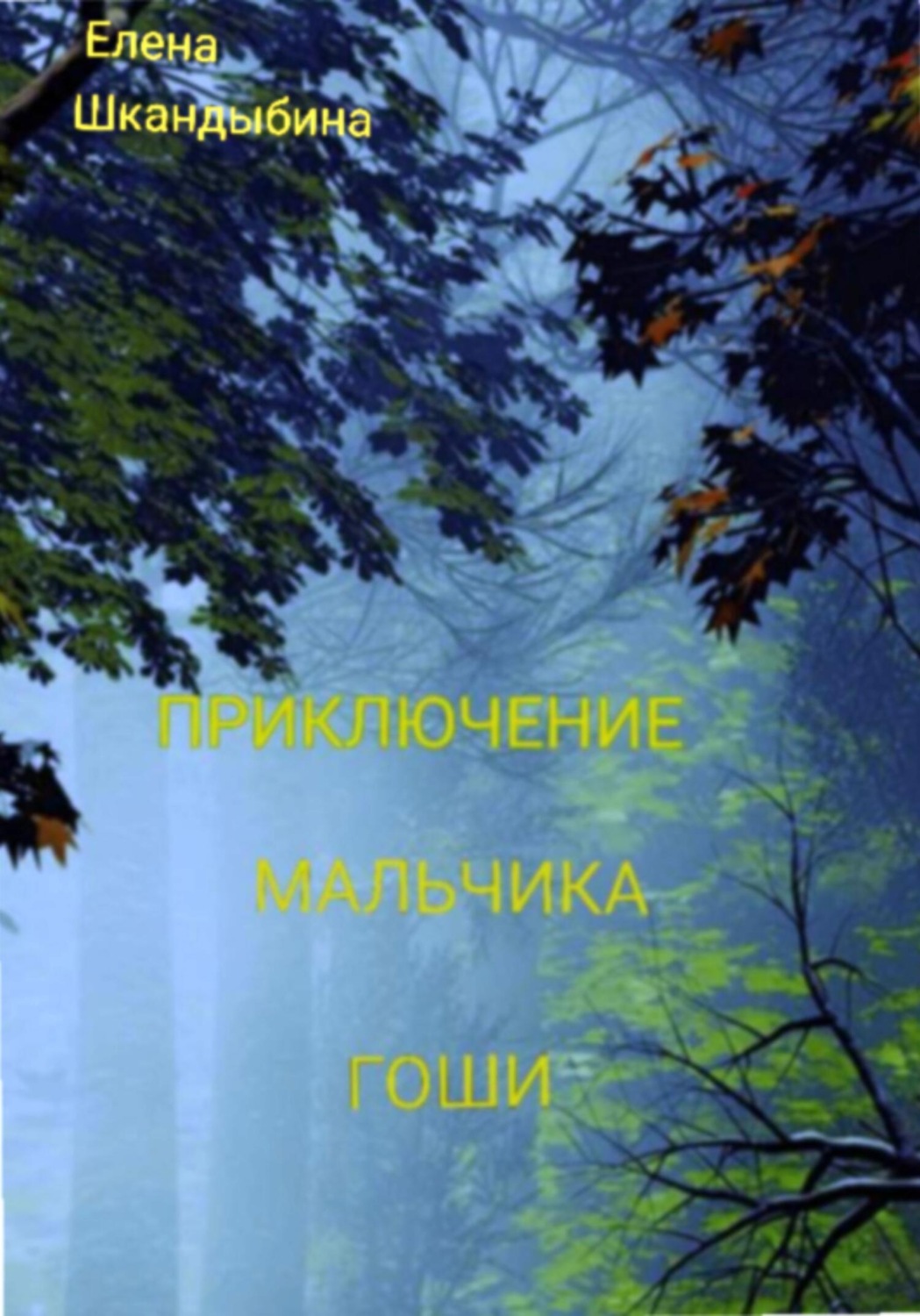 Обложка книги «Приключение мальчика Гоши»