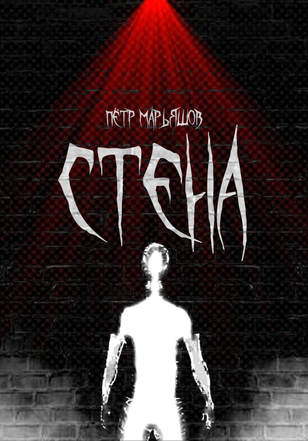 Обложка книги «Стена»