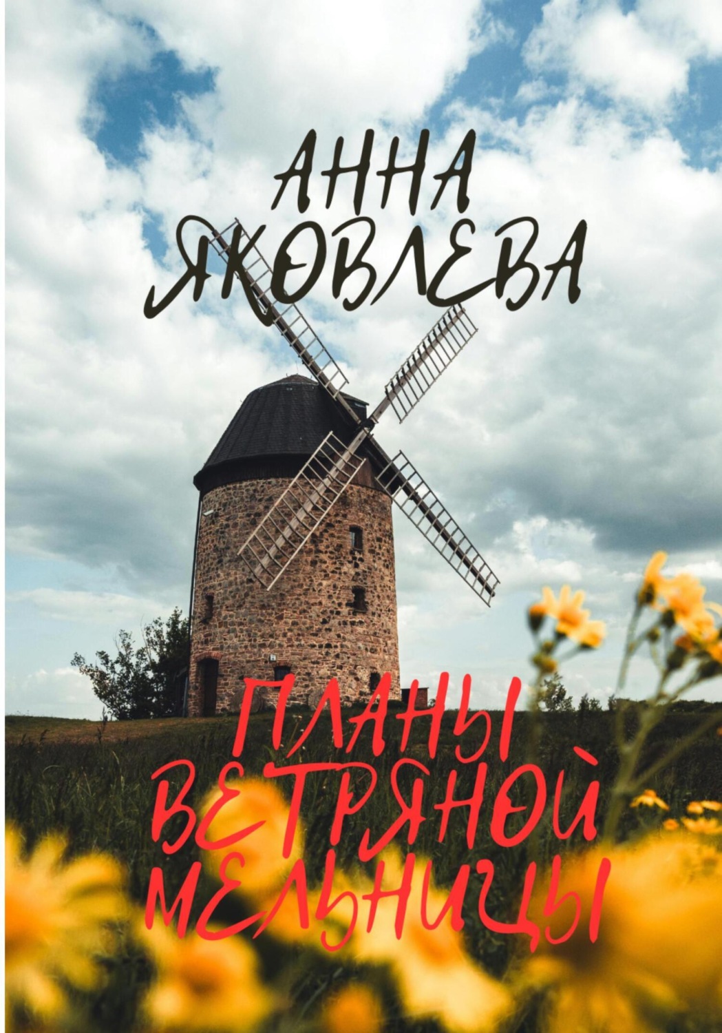 Обложка книги «Планы ветряной мельницы»