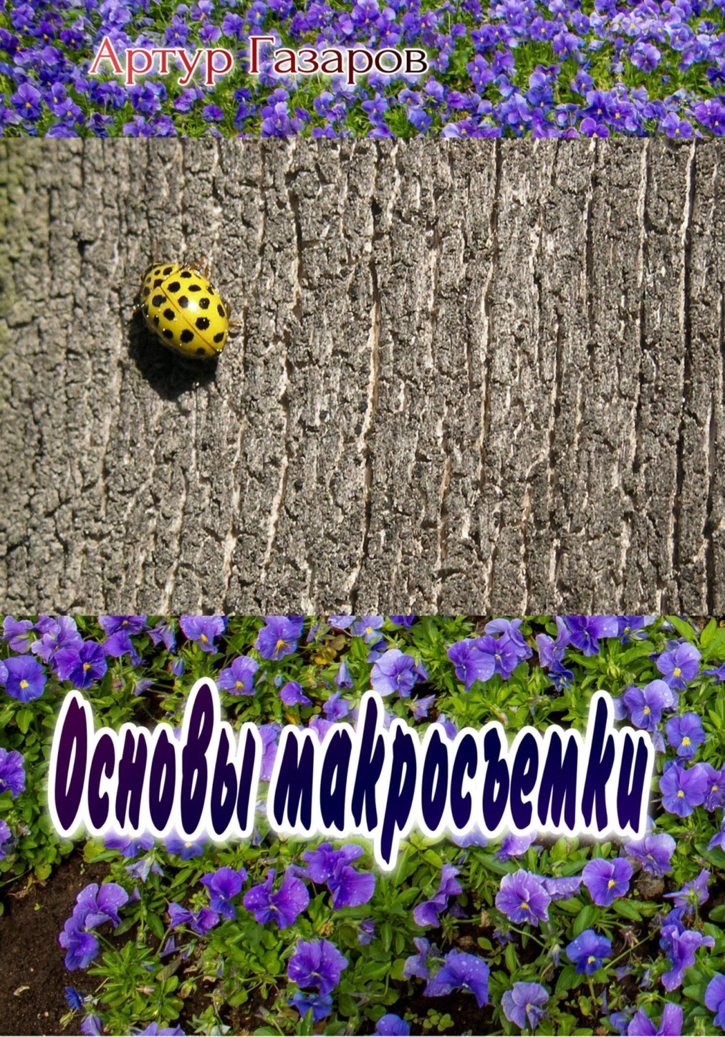 Обложка книги «Основы макросъемки»