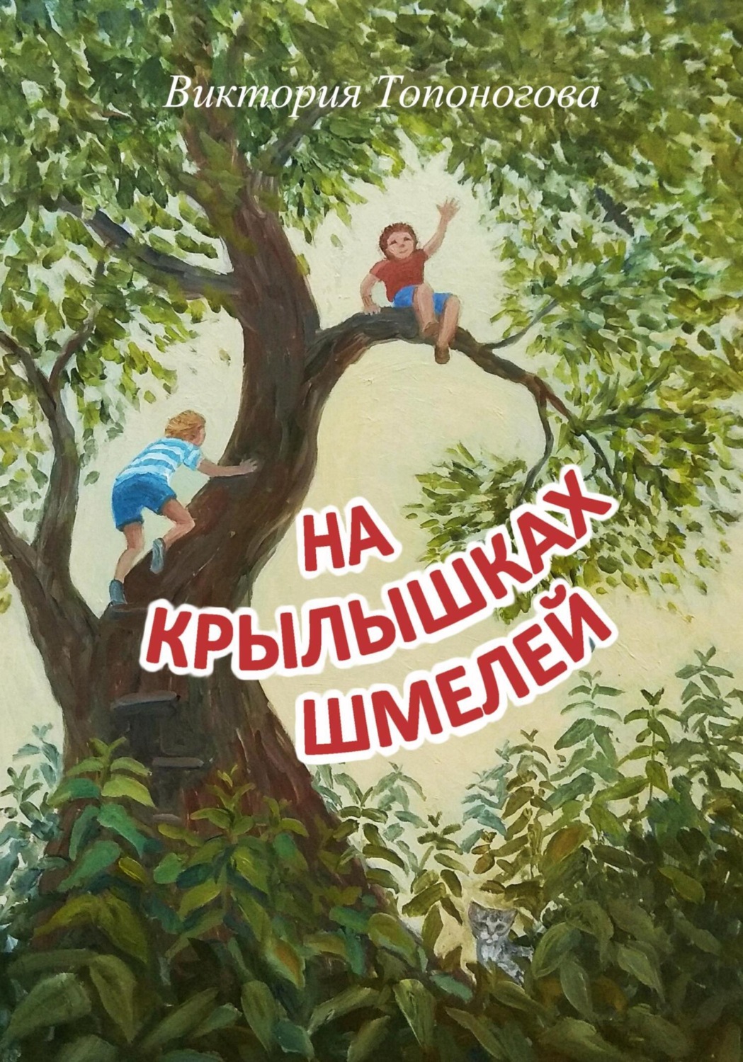 Обложка книги «На крылышках шмелей»