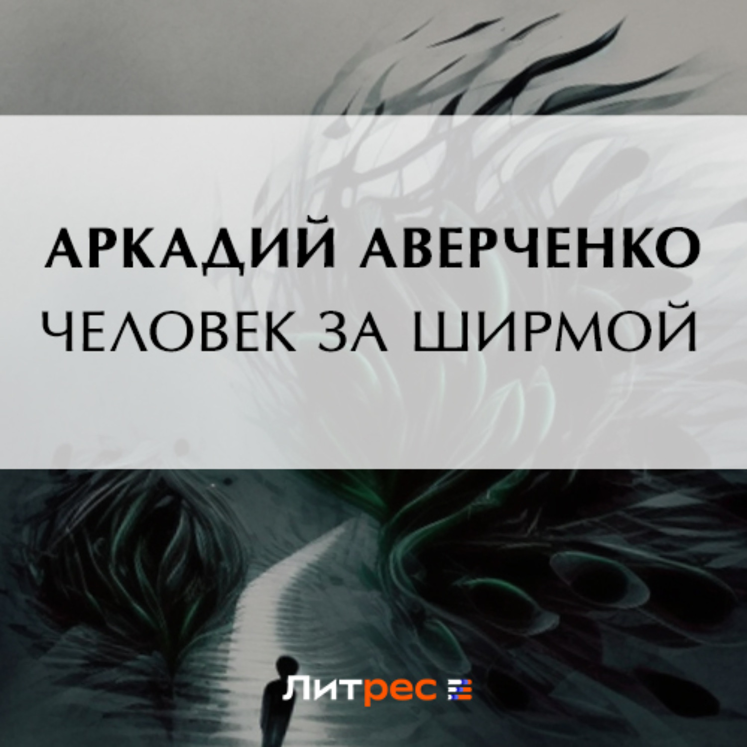 Обложка книги «Человек за ширмой»