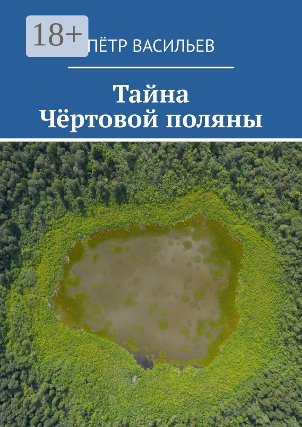 Обложка книги «Тайна Чёртовой поляны»