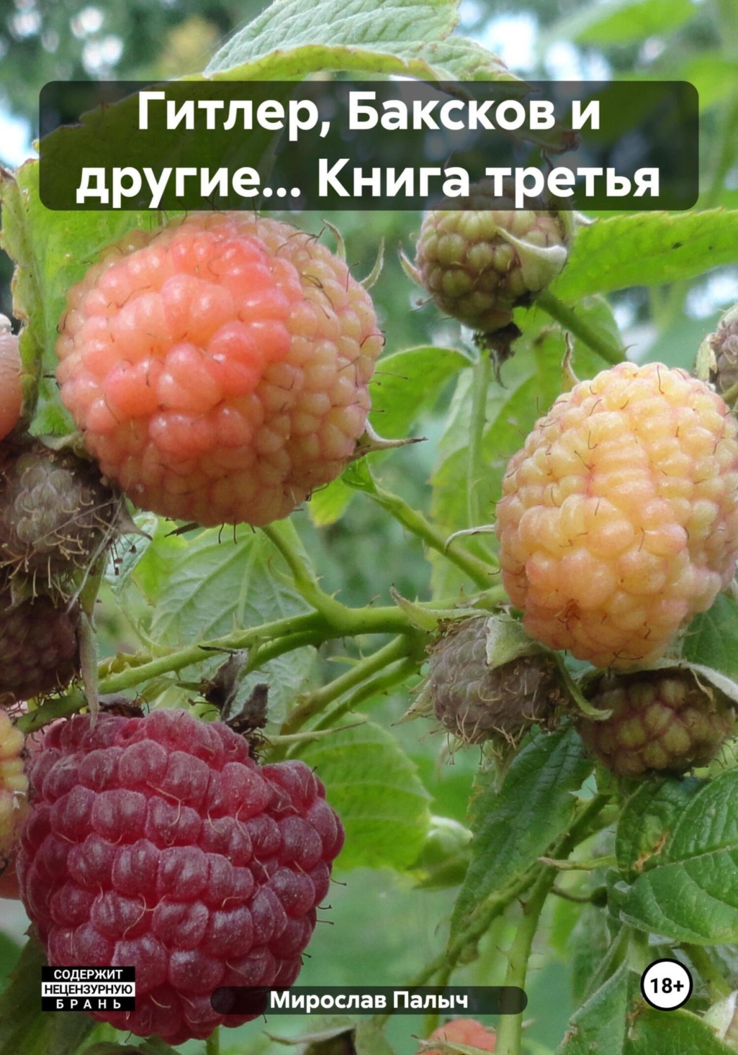 Обложка книги «Гитлер, Баксков и другие… Книга третья»