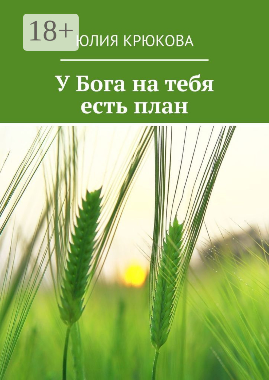 Обложка книги «У Бога на тебя есть план»