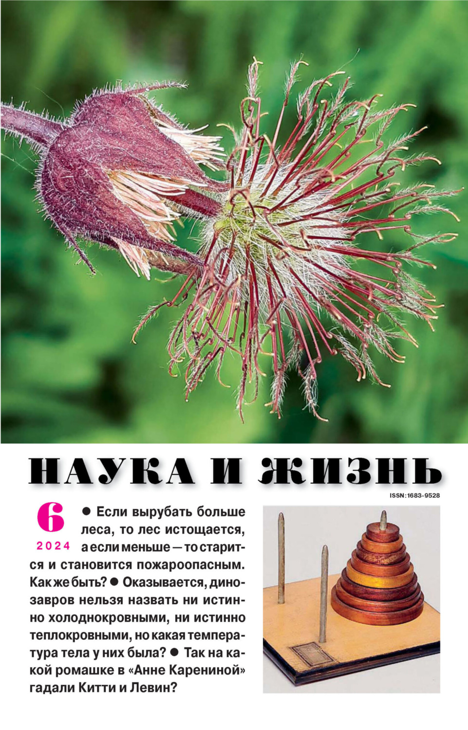 Обложка книги «Наука и жизнь №06/2024»