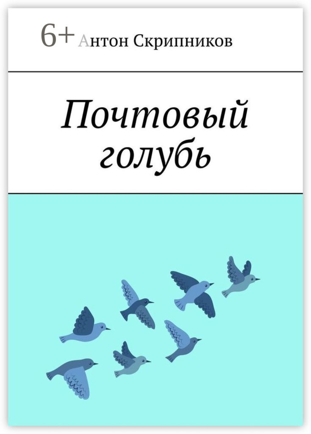 Обложка книги «Городской голубь»