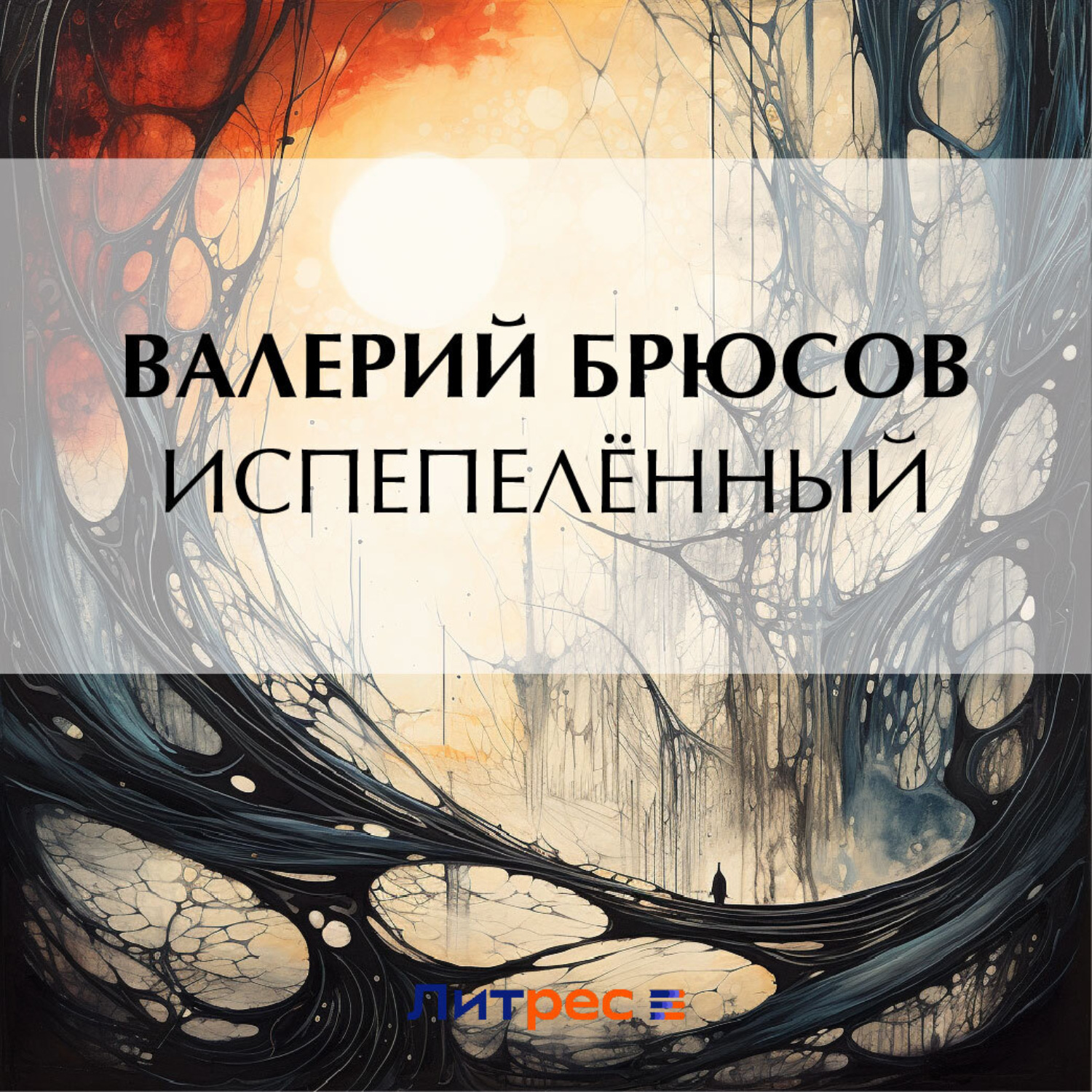 Обложка книги «Испепелённый»