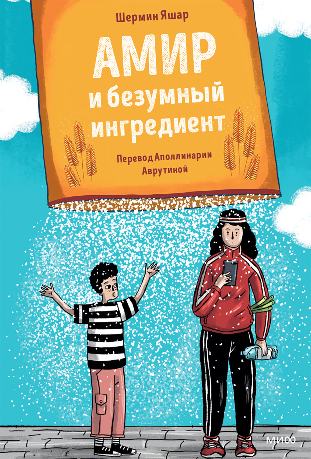 Обложка книги «Амир и безумный ингредиент»