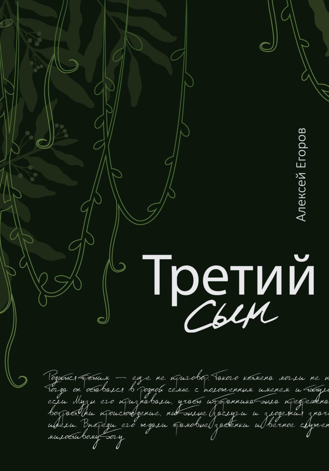 Обложка книги «Третий сын»