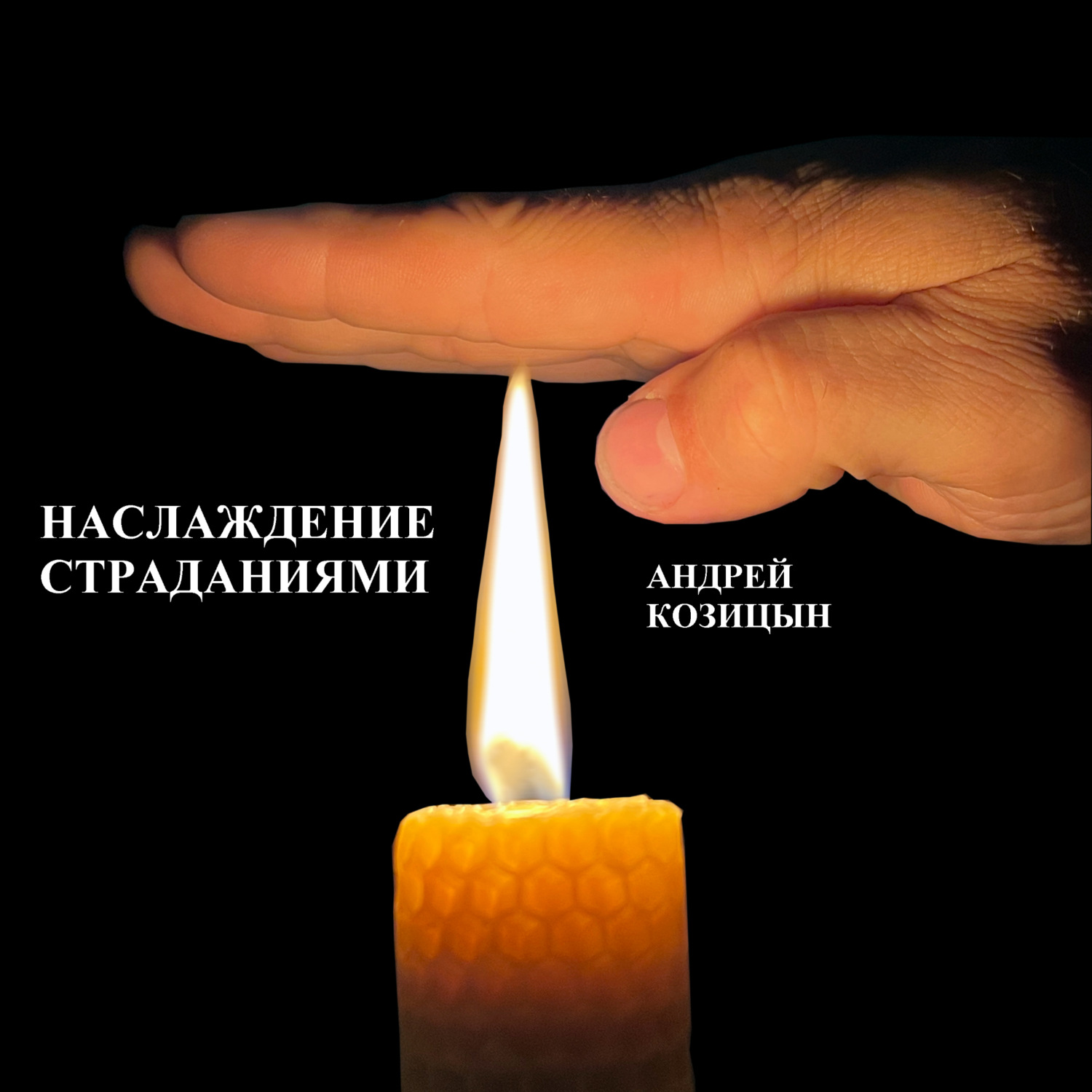 Обложка книги «НАСЛАЖДЕНИЕ СТРАДАНИЯМИ»