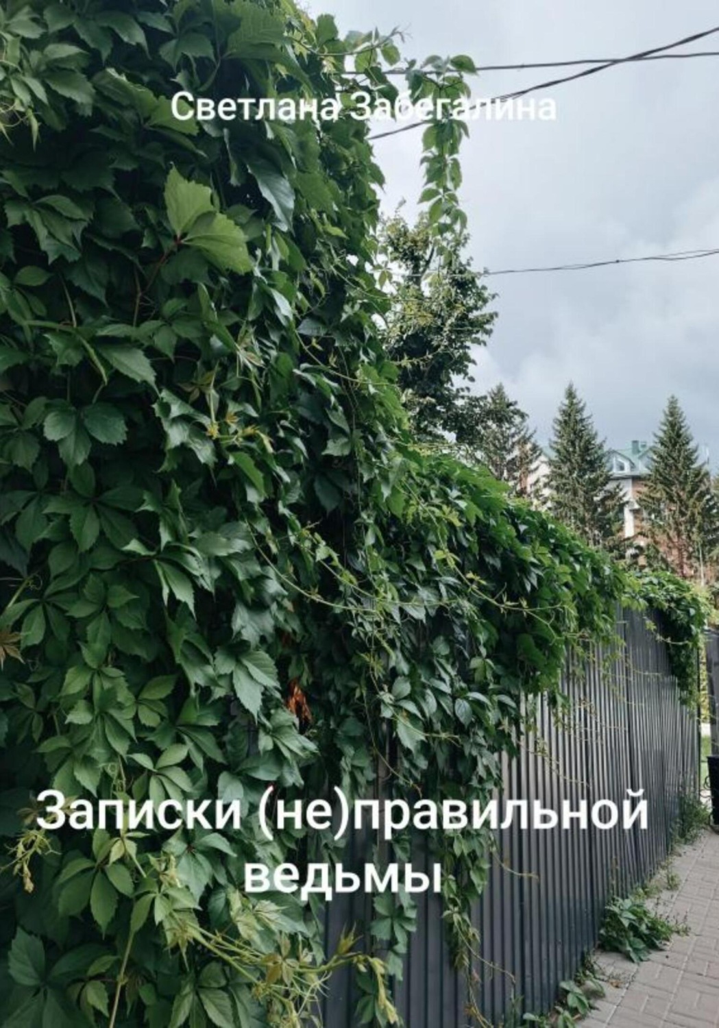 Обложка книги «Записки (не)правильной ведьмы»