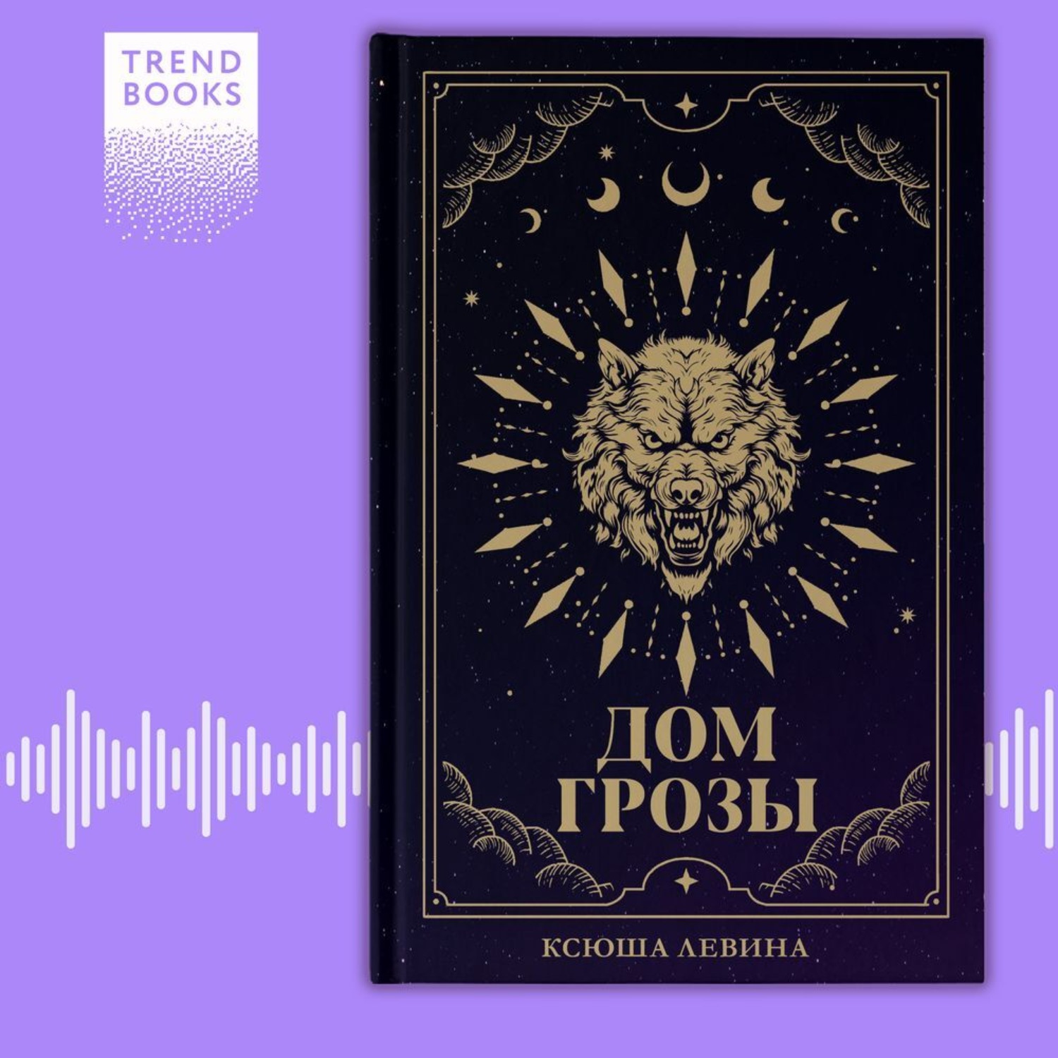 Обложка книги «Дом грозы»
