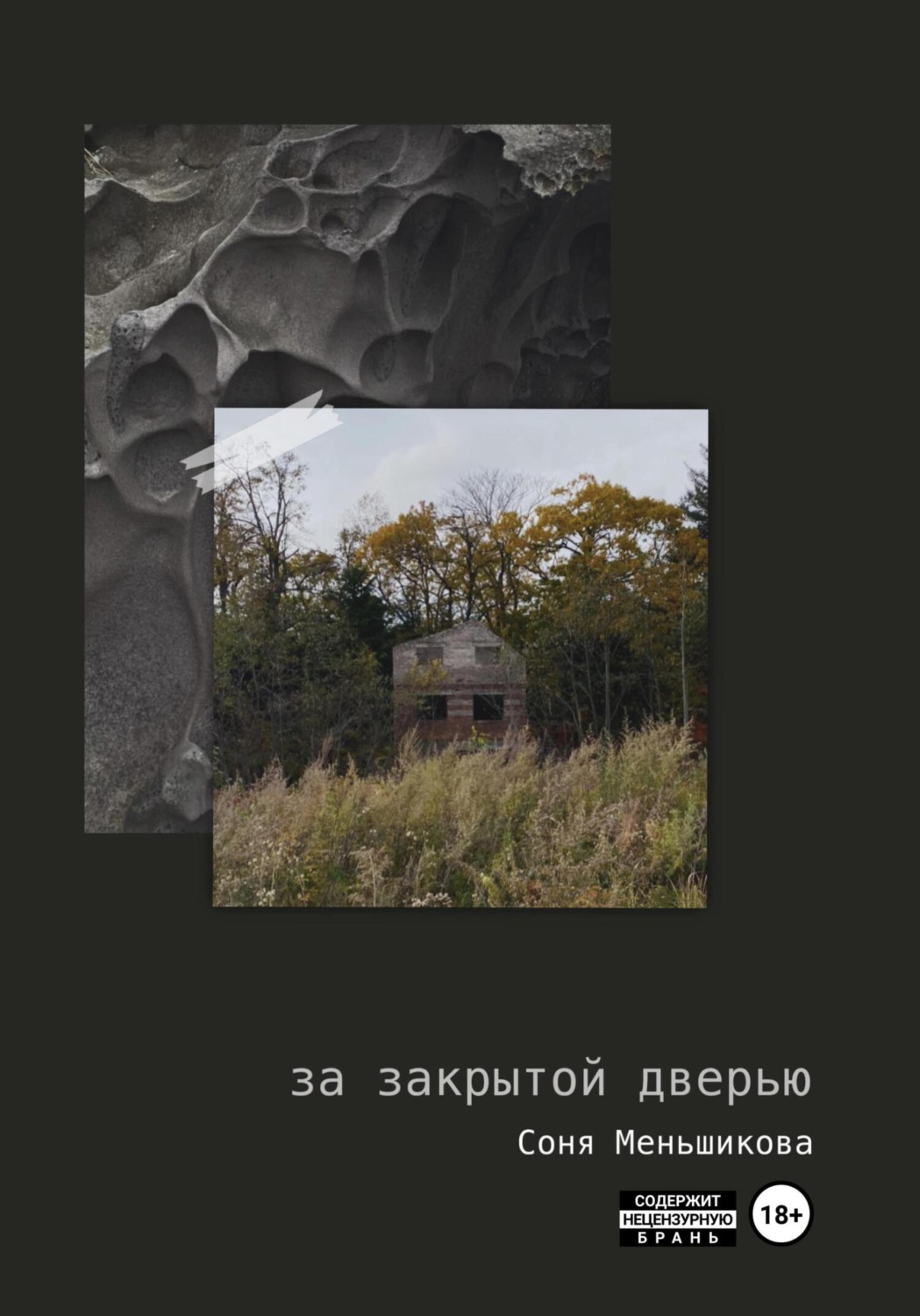 Обложка книги «За закрытой дверью»
