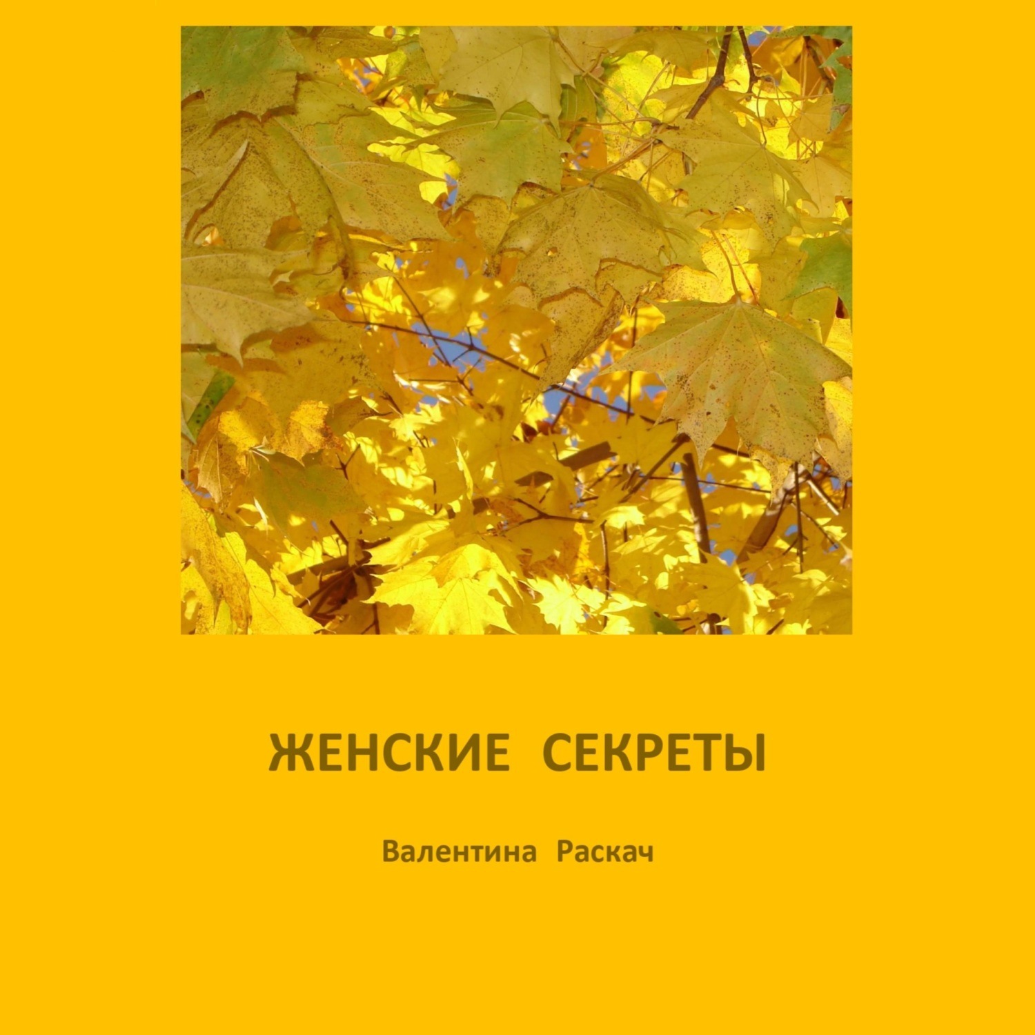 Обложка книги «Женские секреты»