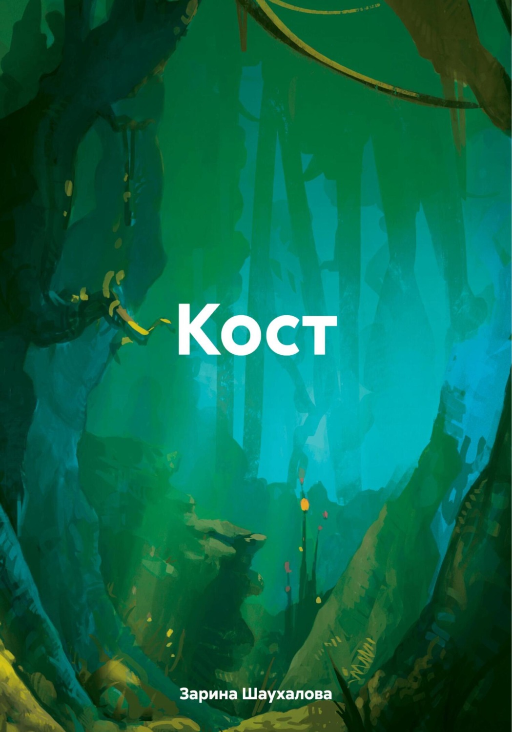 Обложка книги «Кост»