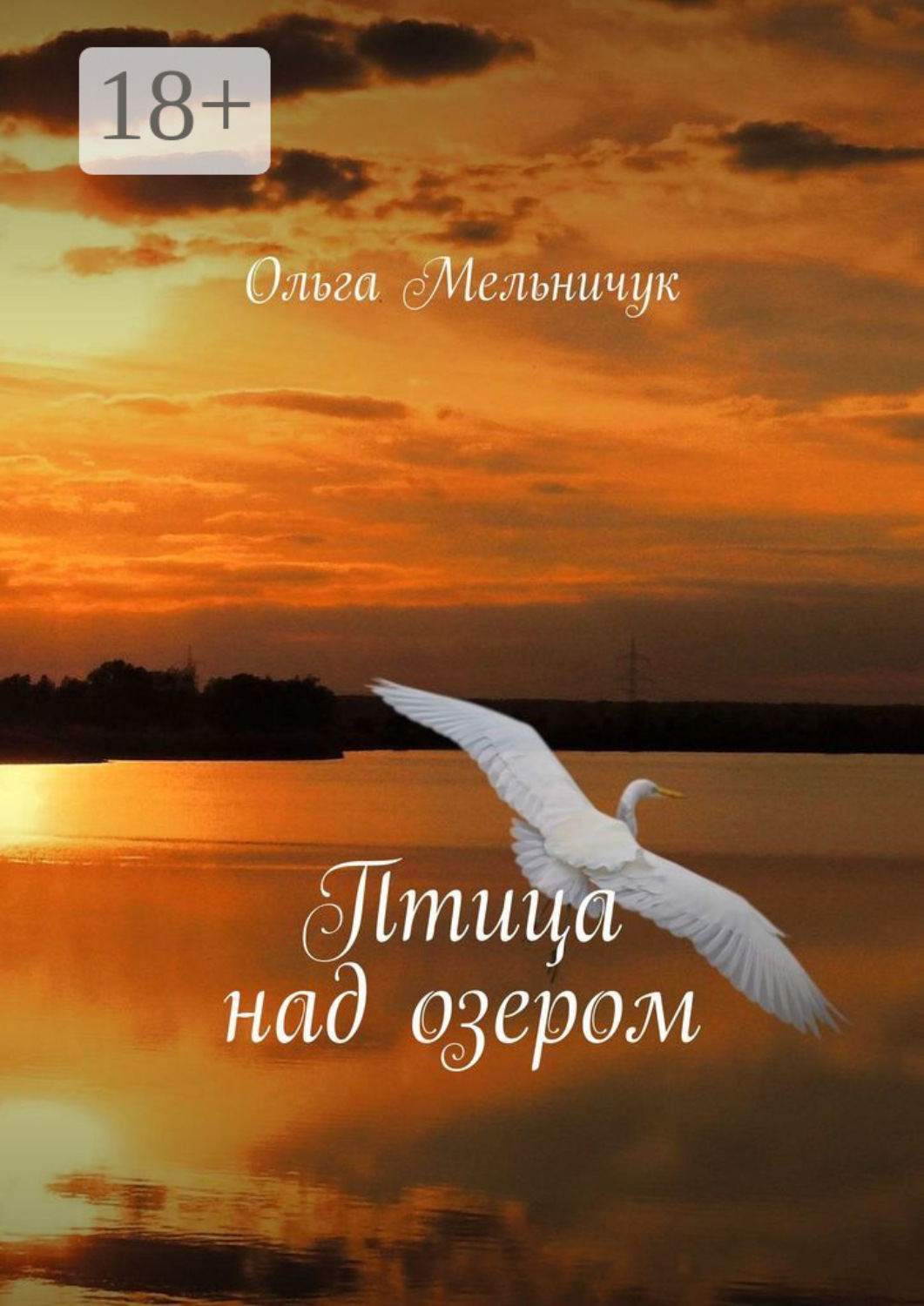 Обложка книги «Птица над озером»