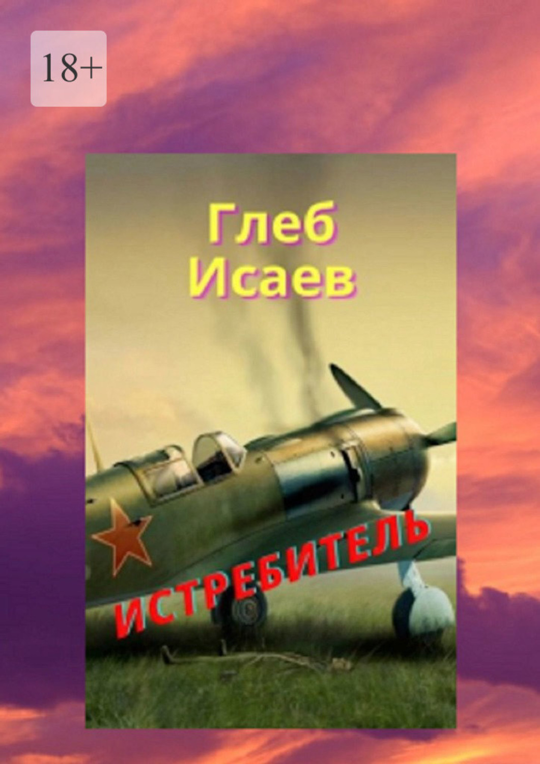 Обложка книги «Истребитель»