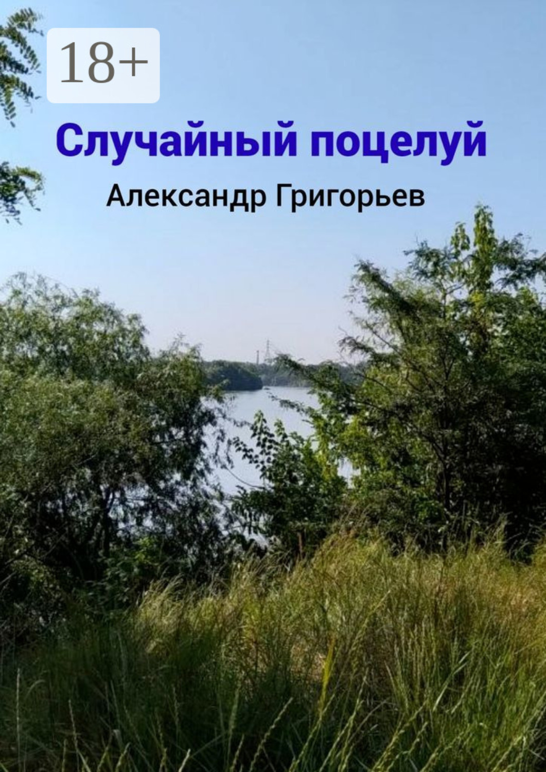 Обложка книги «Случайный поцелуй»