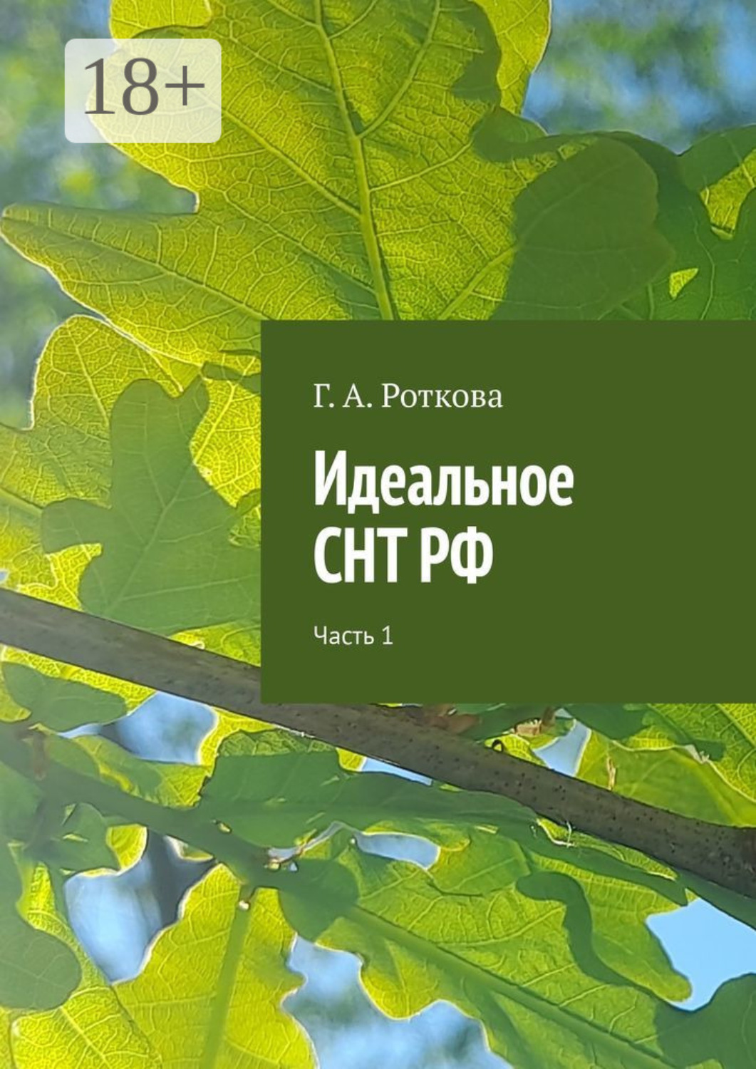 Обложка книги «Идеальное СНТ РФ. Часть 1»