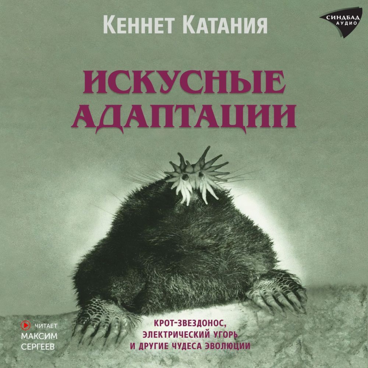 Обложка книги «Искусные адаптации. Крот-звездонос, электрический угорь и другие чудеса эволюции»