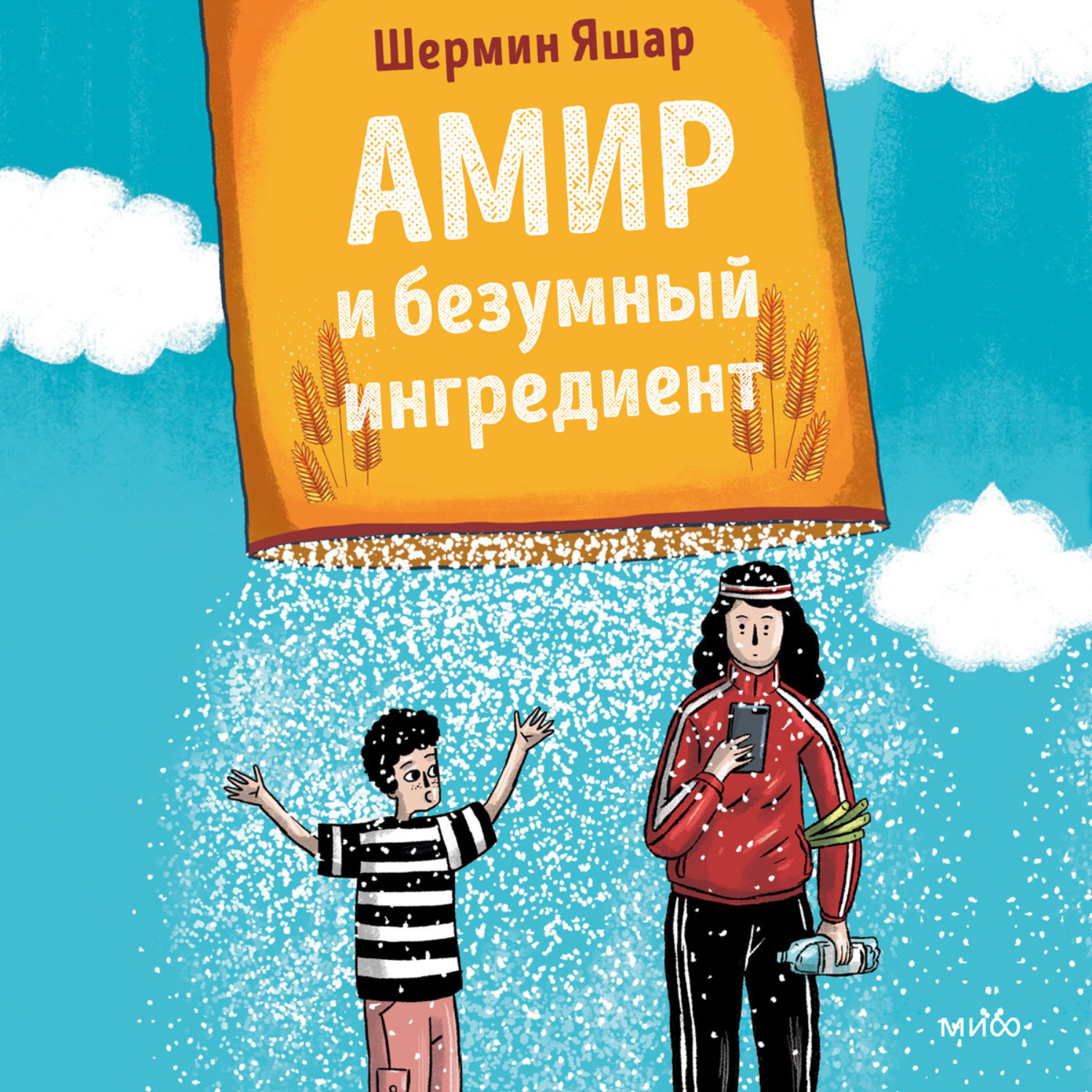Обложка книги «Амир и безумный ингредиент»