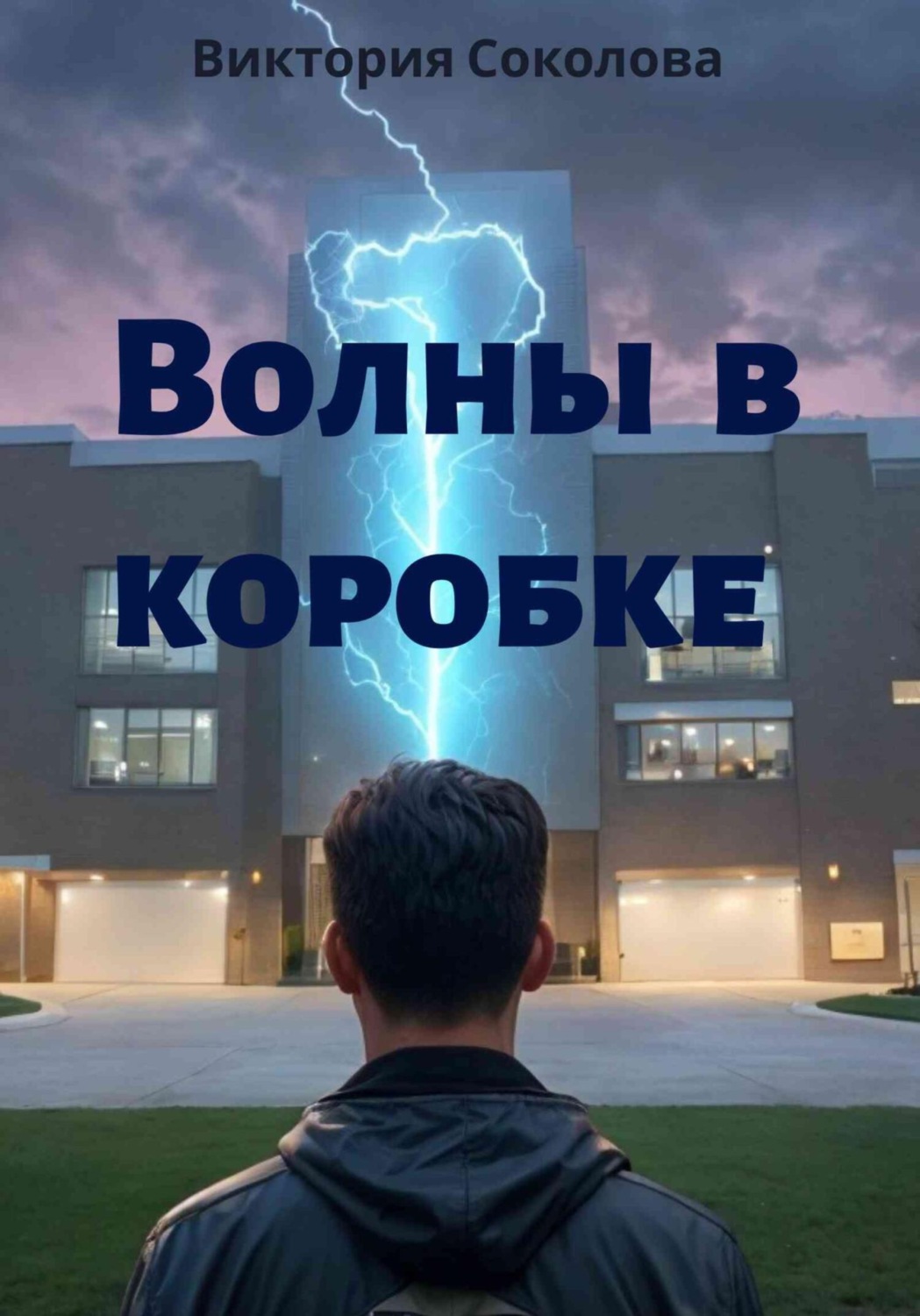 Обложка книги «Волны в коробке»