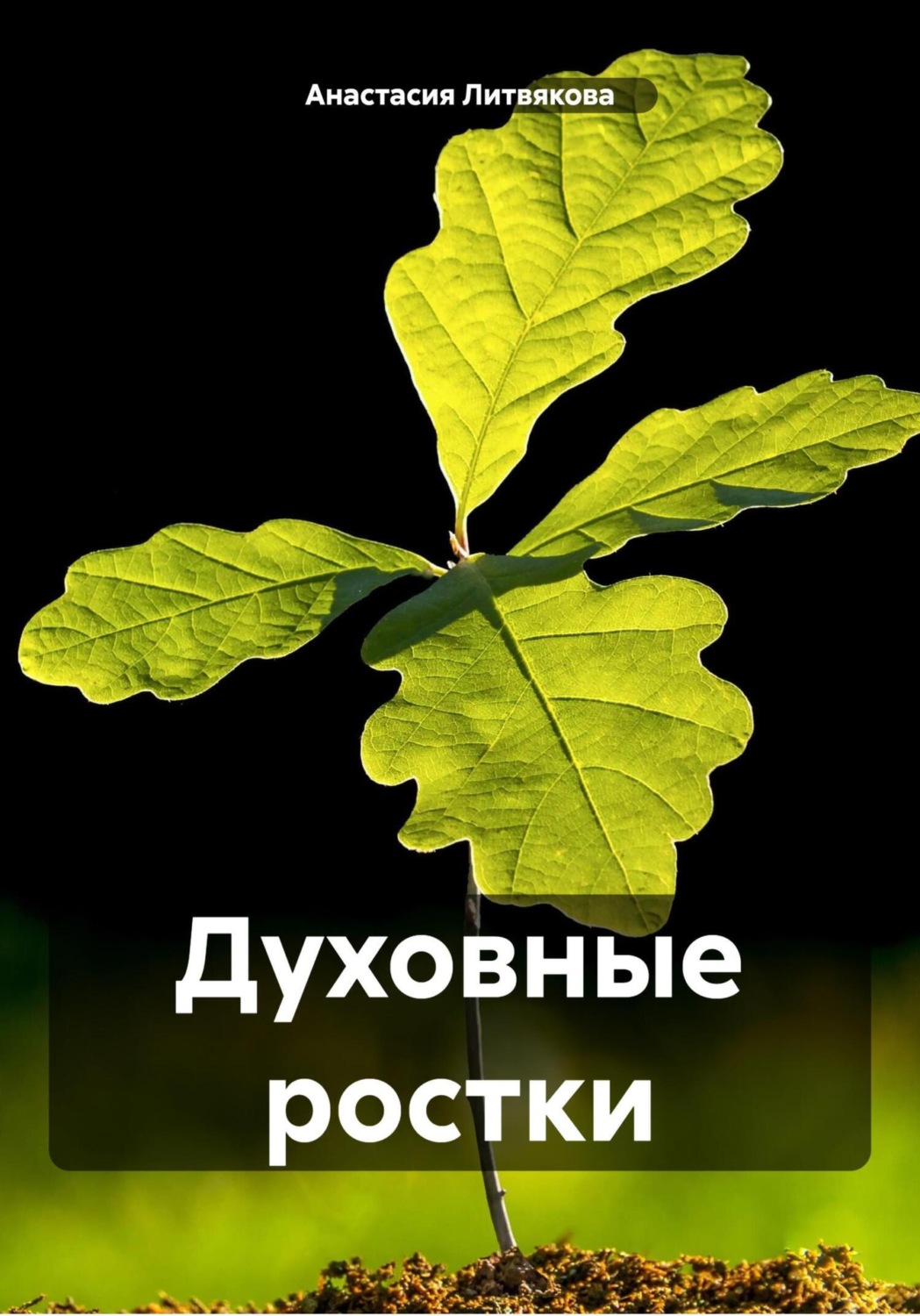 Обложка книги «Духовные ростки»