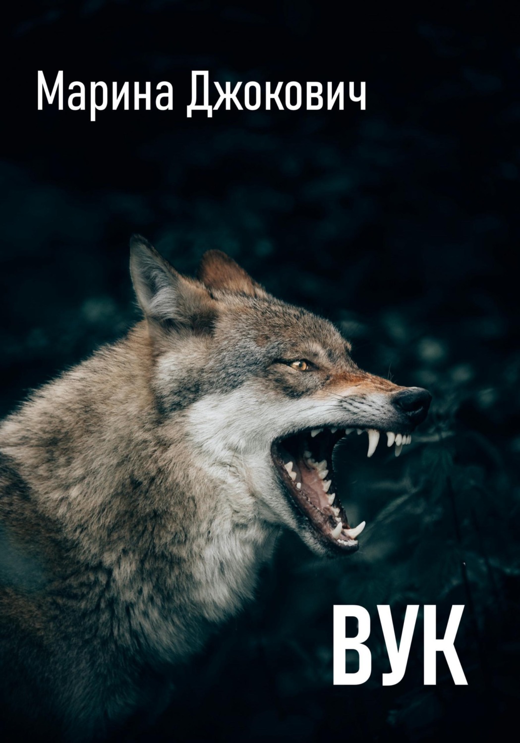 Обложка книги «Вук»