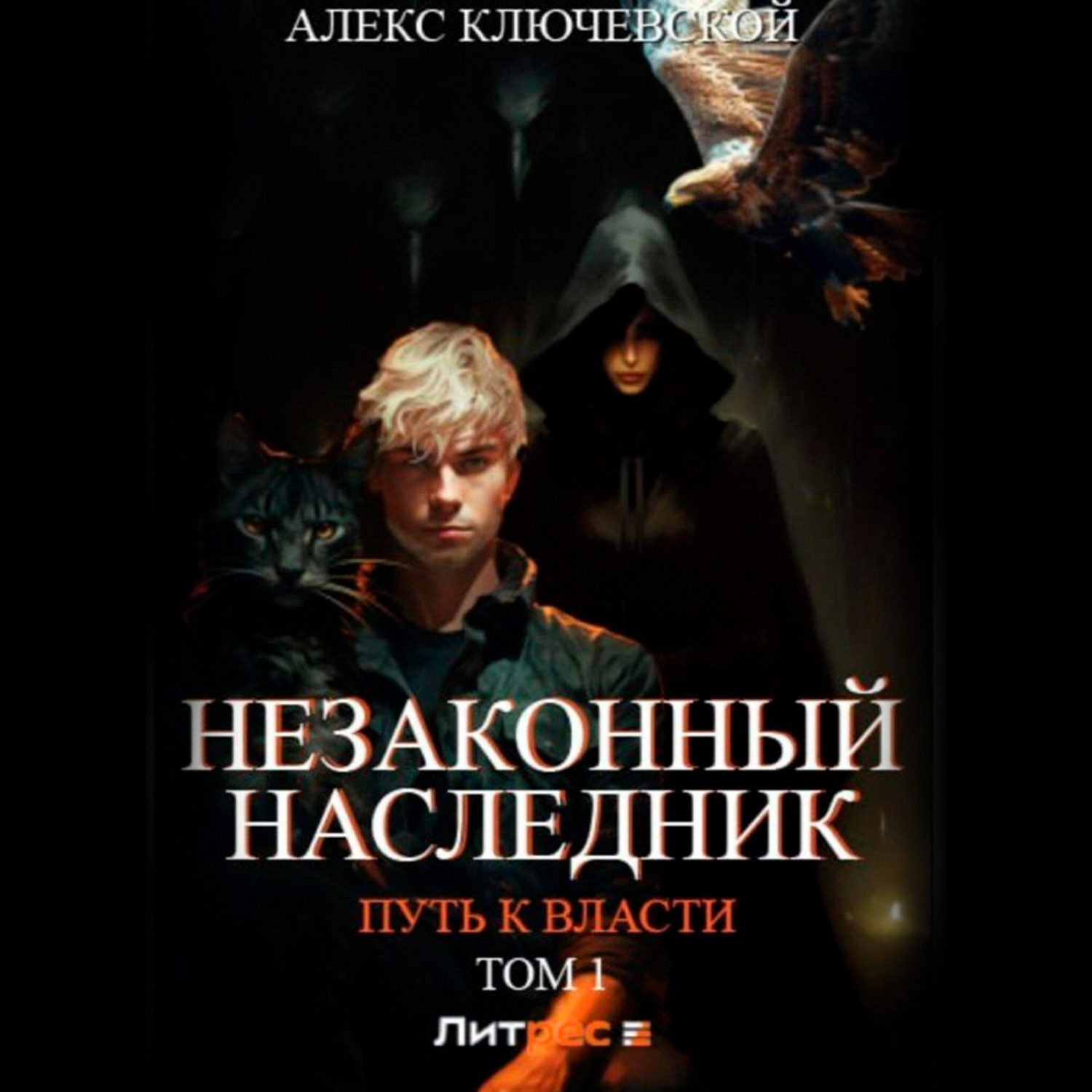 Обложка книги «Незаконный наследник. Путь к власти. Том 1»