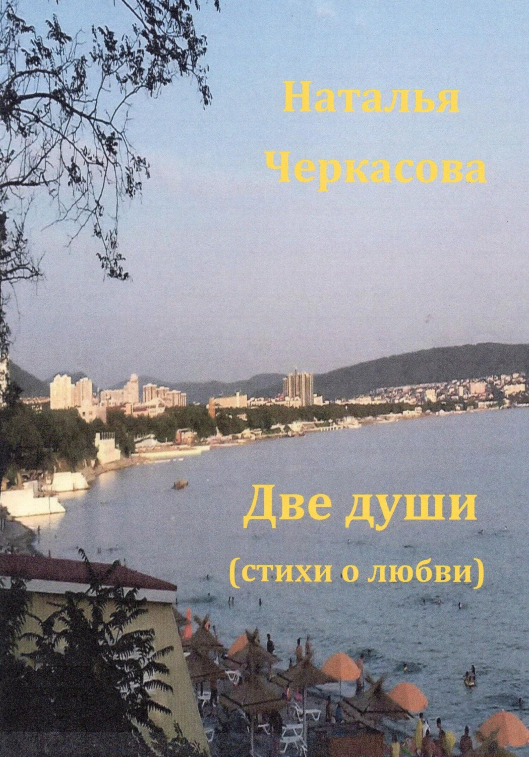 Обложка книги «Две души»