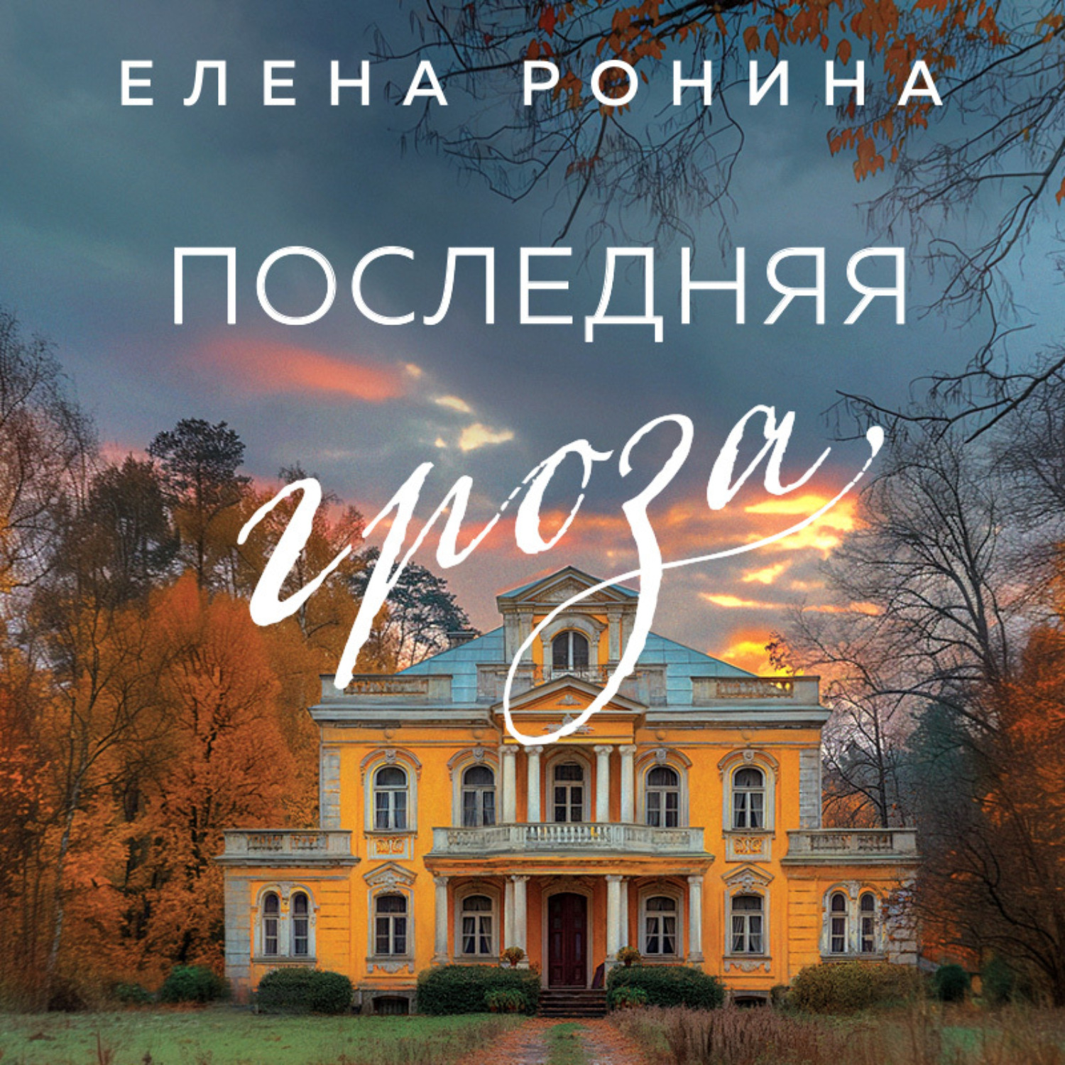 Обложка книги «Последняя гроза»