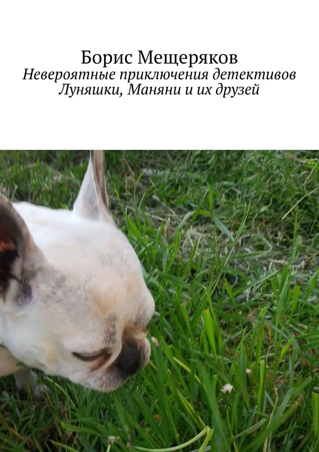 Обложка книги «Невероятные приключения детективов Луняшки, Маняни и их друзей»