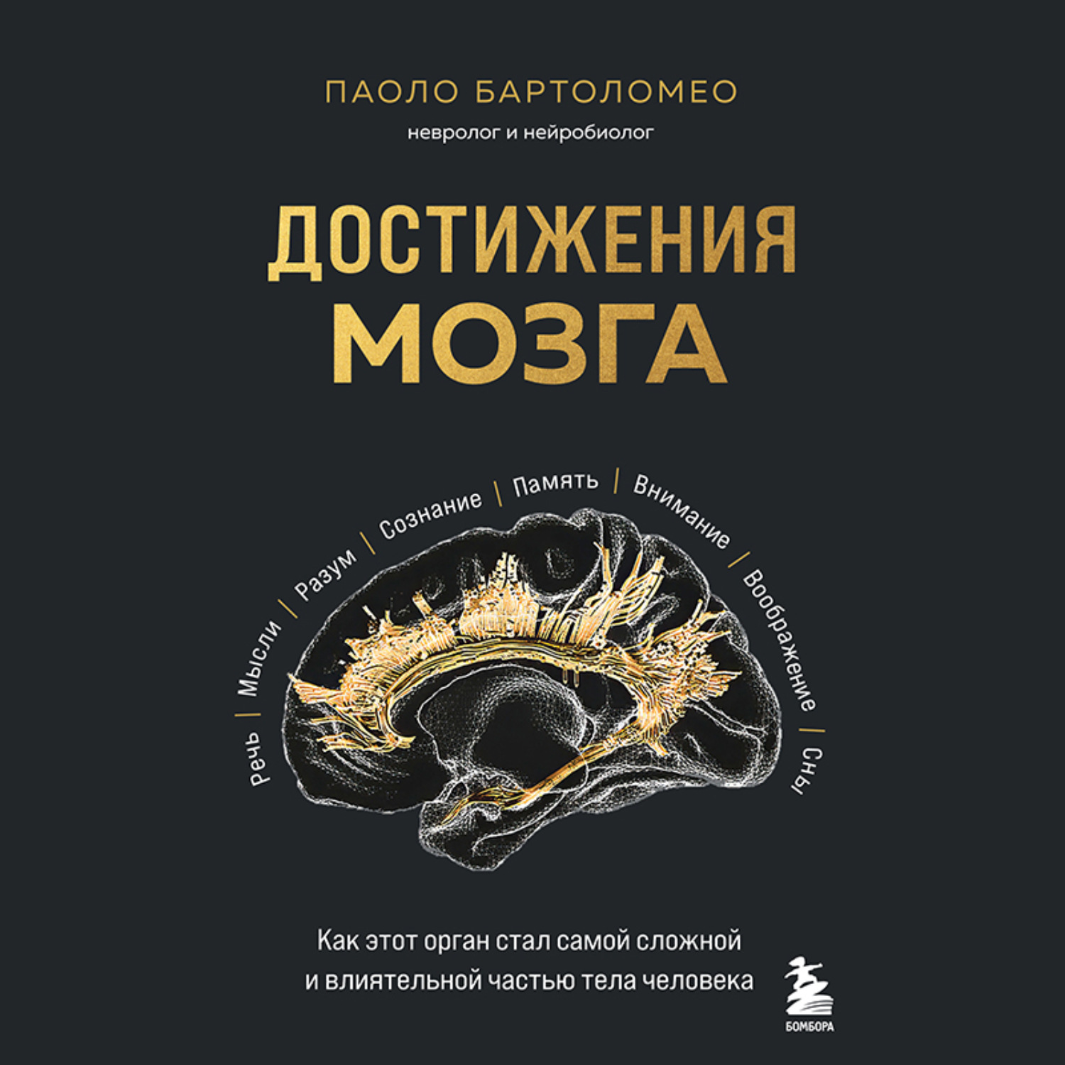 Обложка книги «Достижения мозга. Как этот орган стал самой сложной и влиятельной частью тела человека»