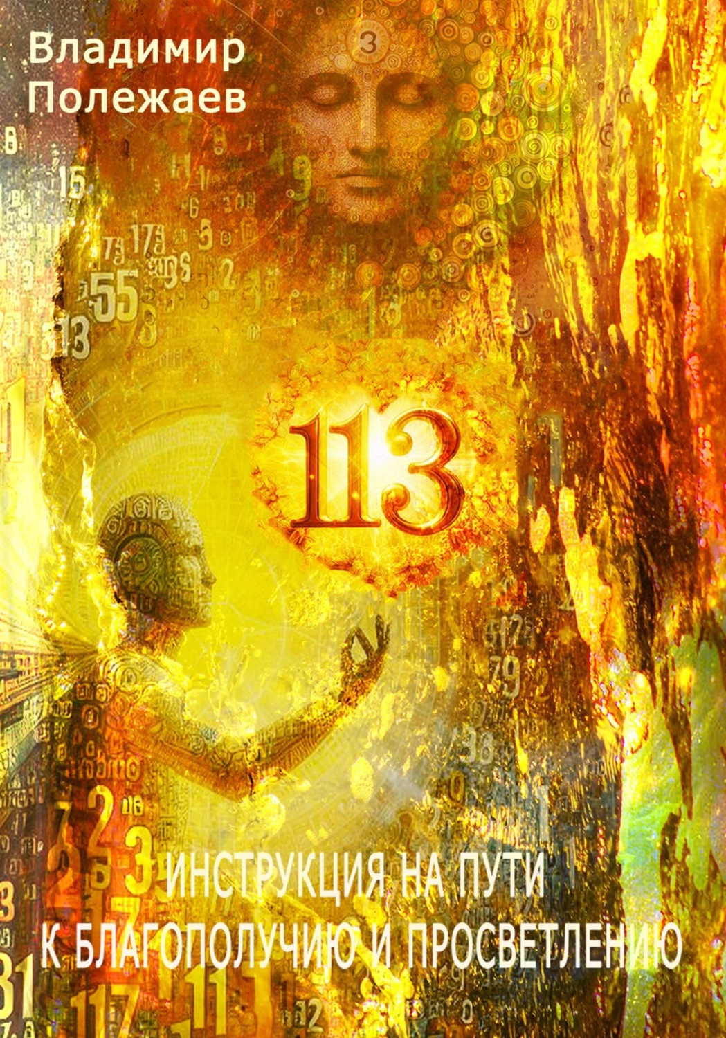 Обложка книги «113 – Инструкция на пути к истинному благополучию и просветлению»