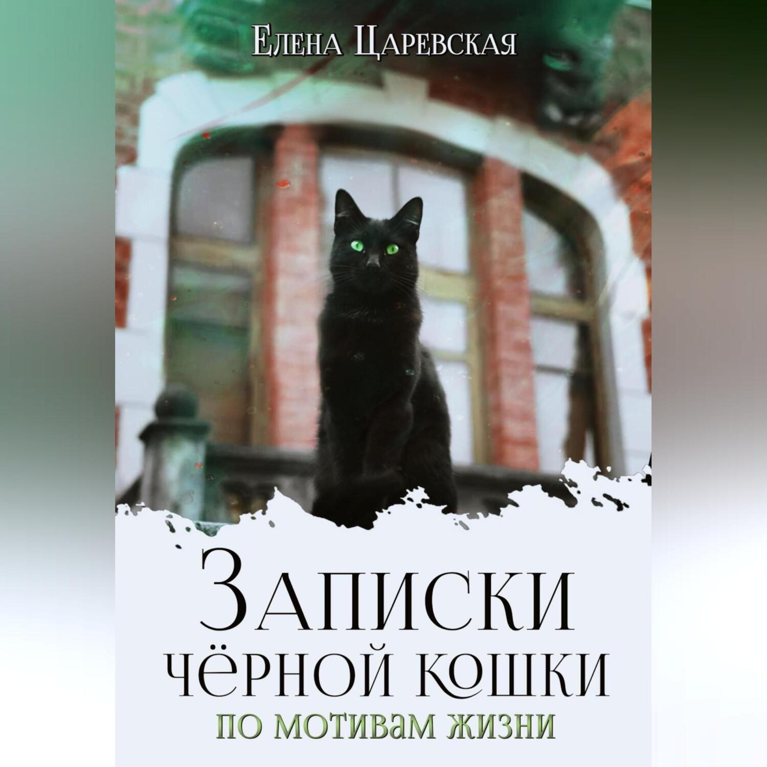 Обложка книги «Записки черной кошки. По мотивам жизни»