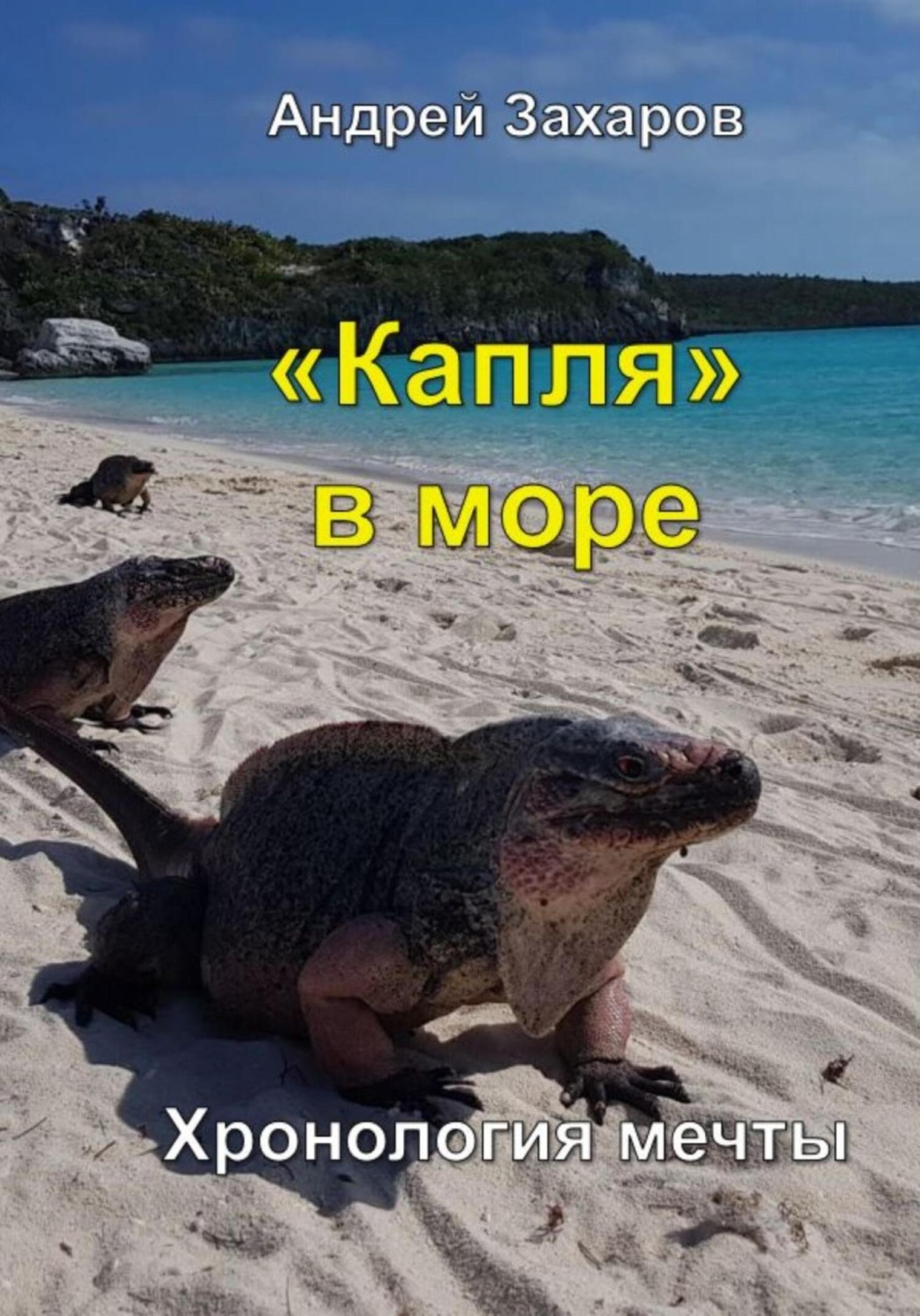 Обложка книги «Капля в море»