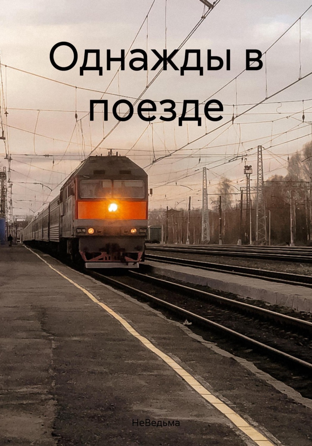 Обложка книги «Однажды в поезде»