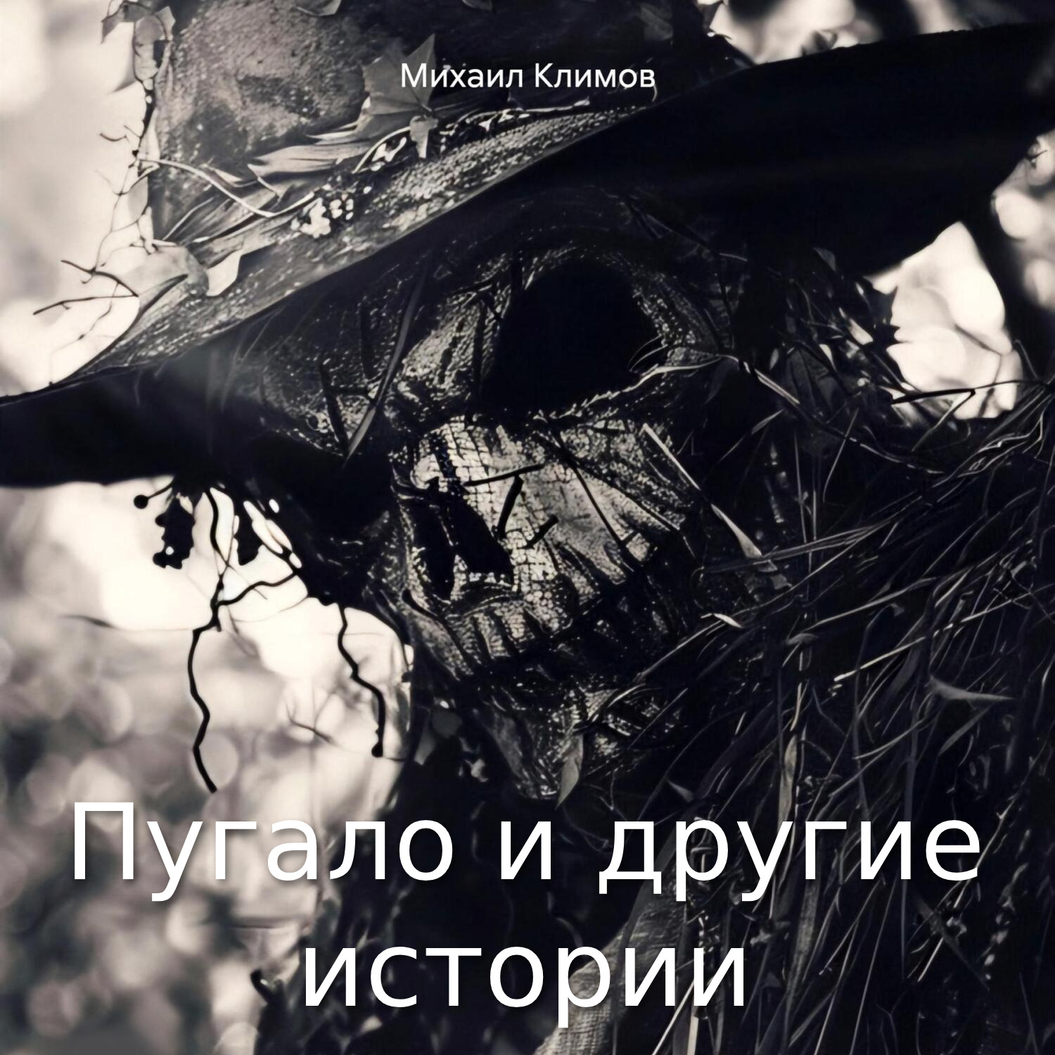 Обложка книги «Пугало и другие истории»