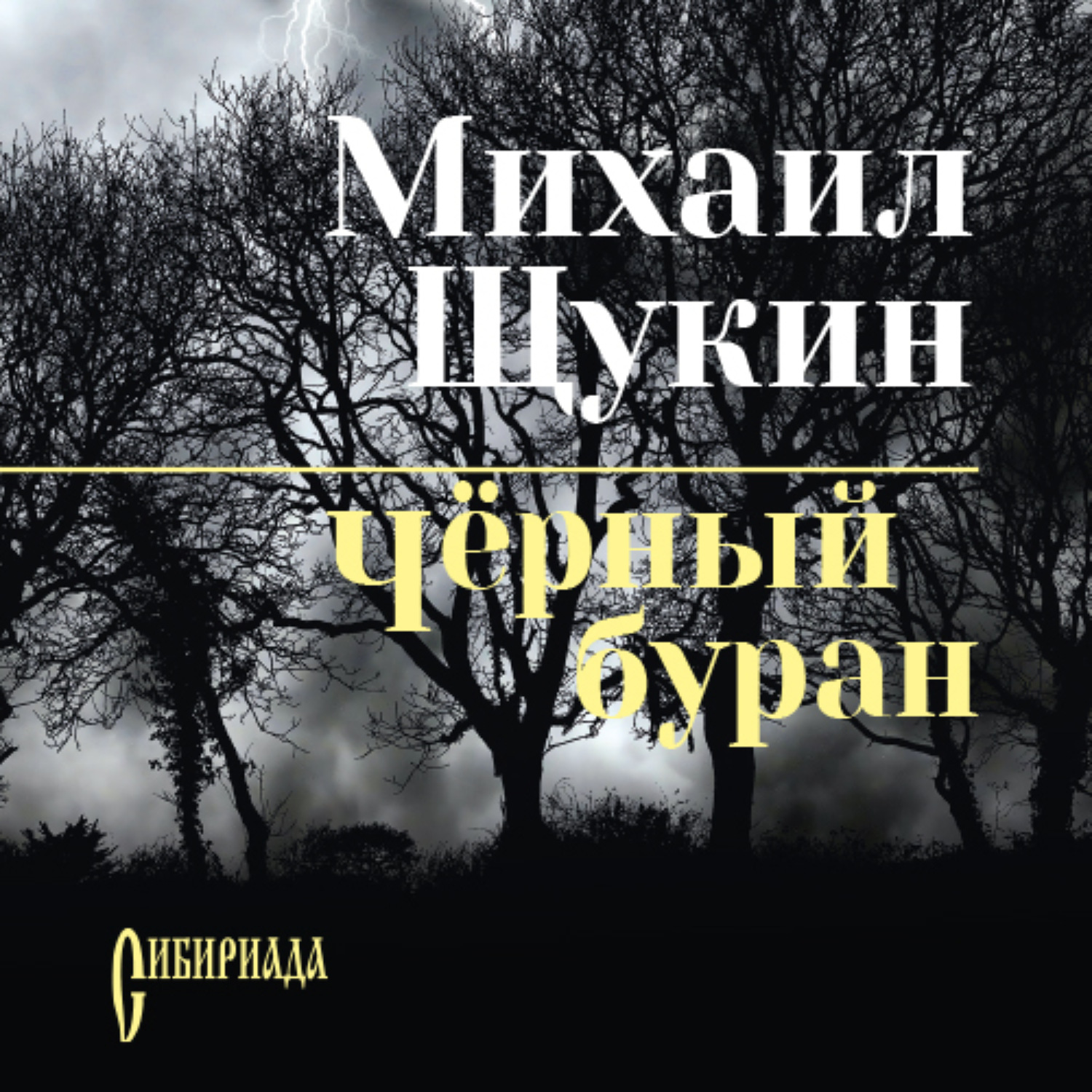 Обложка книги «Черный буран»