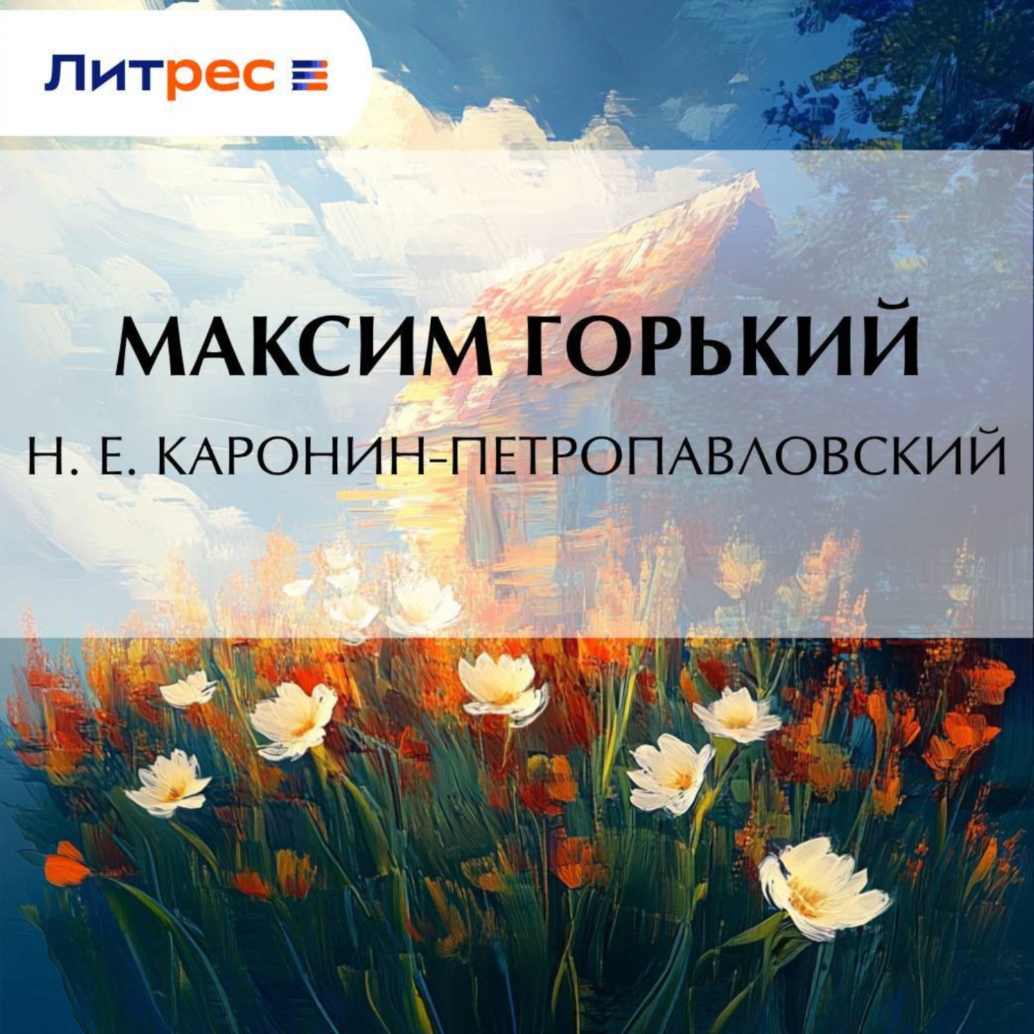 Обложка книги «Н. Е. Каронин-Петропавловский»
