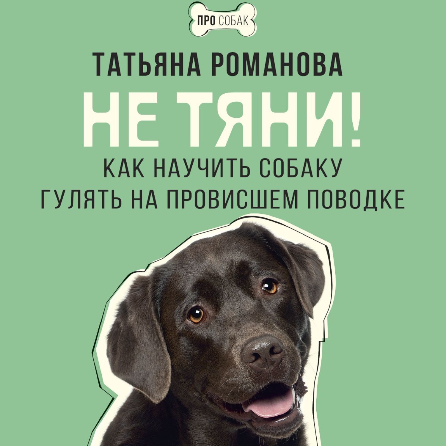 Обложка книги «Не тяни! Как научить собаку гулять на провисшем поводке»